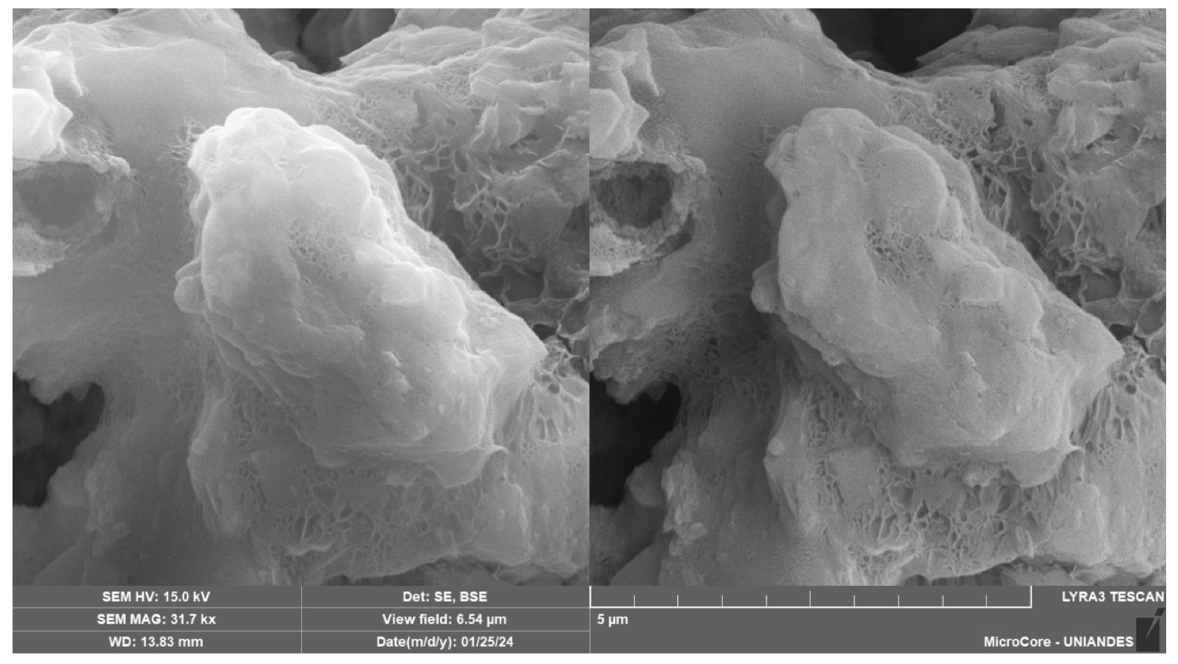 Materials 18 01720 g019