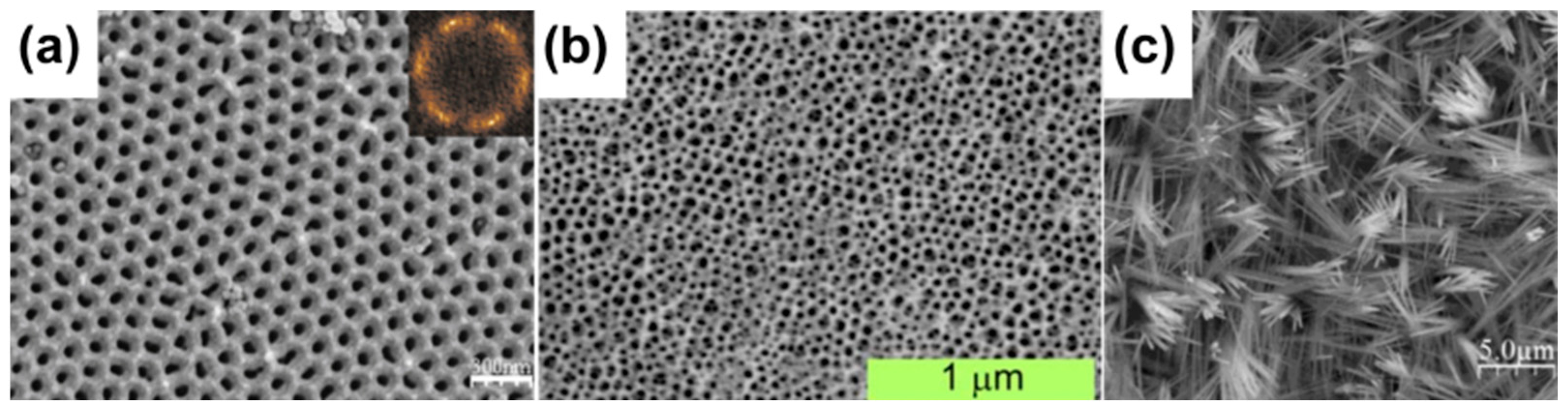 Materials 18 01728 g001