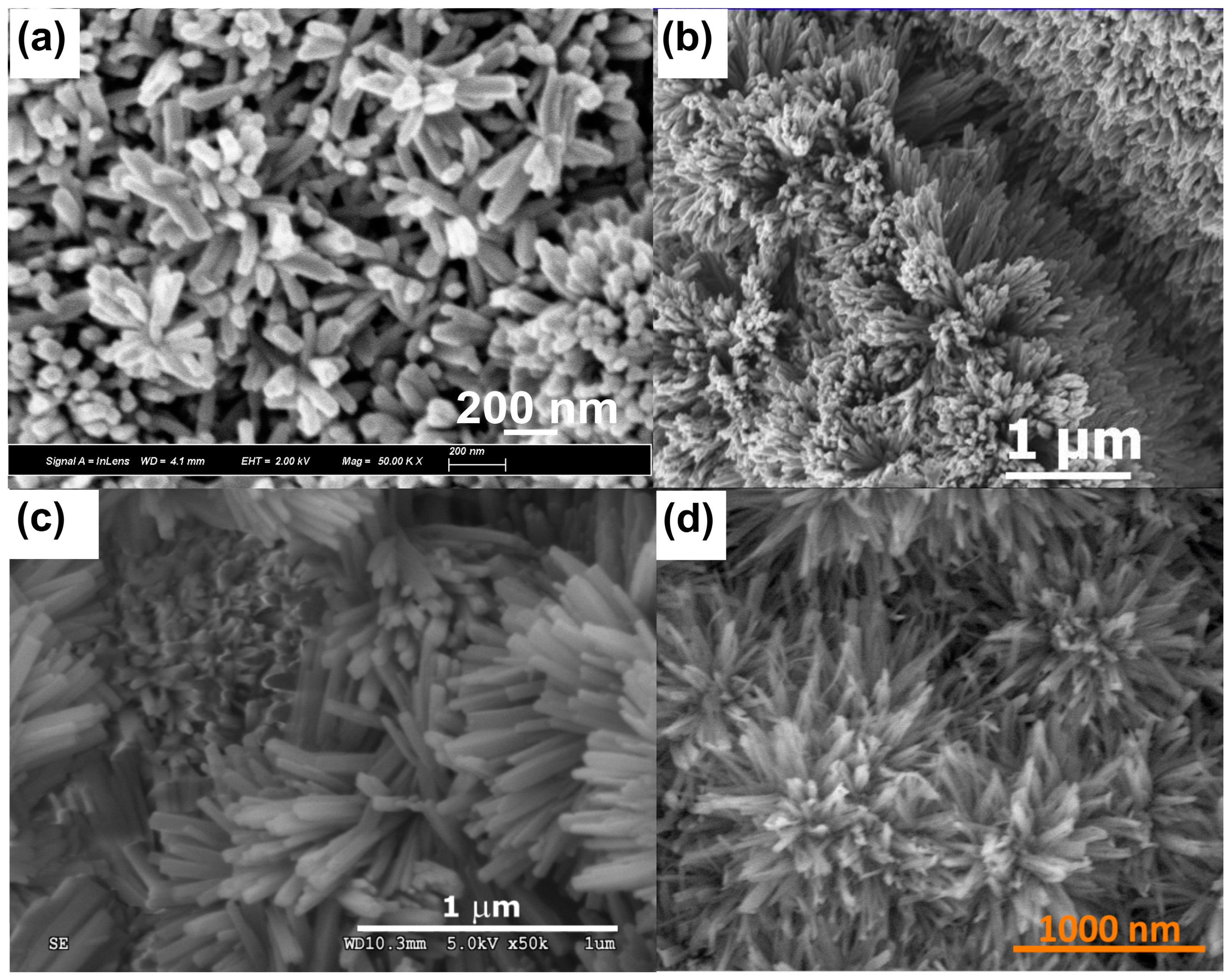 Materials 18 01728 g003