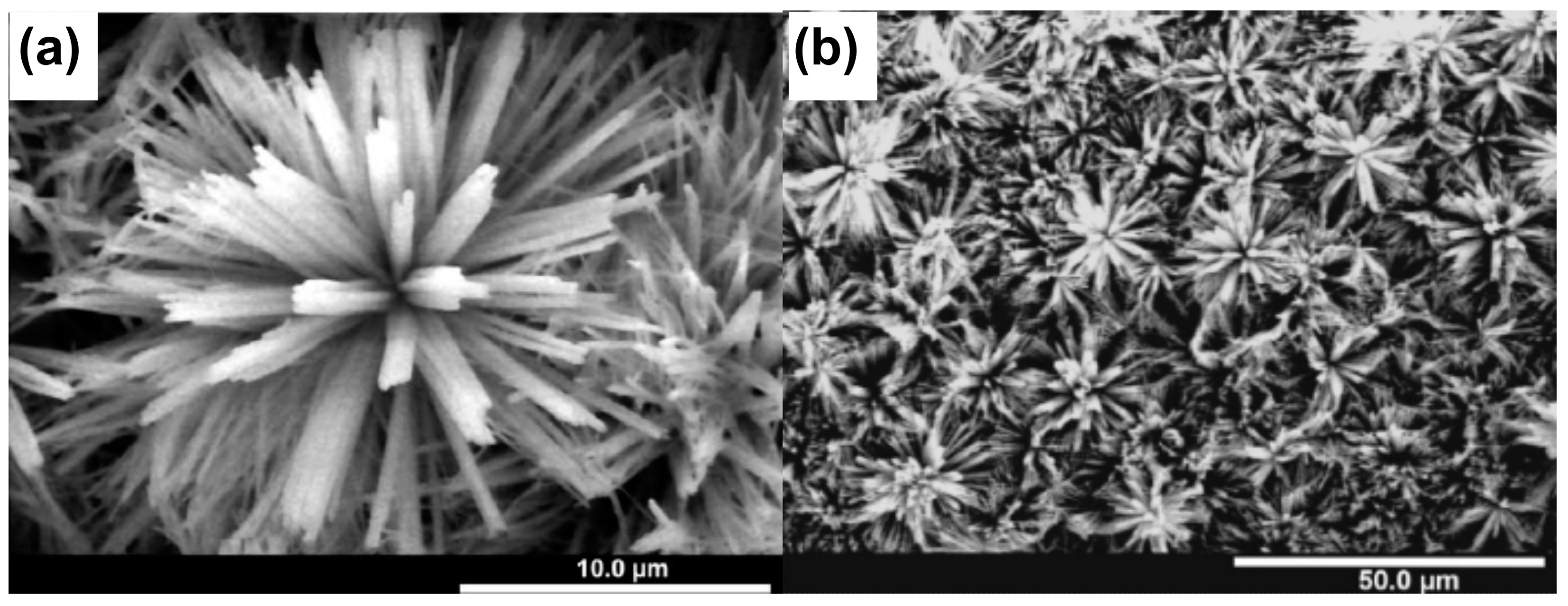 Materials 18 01728 g004