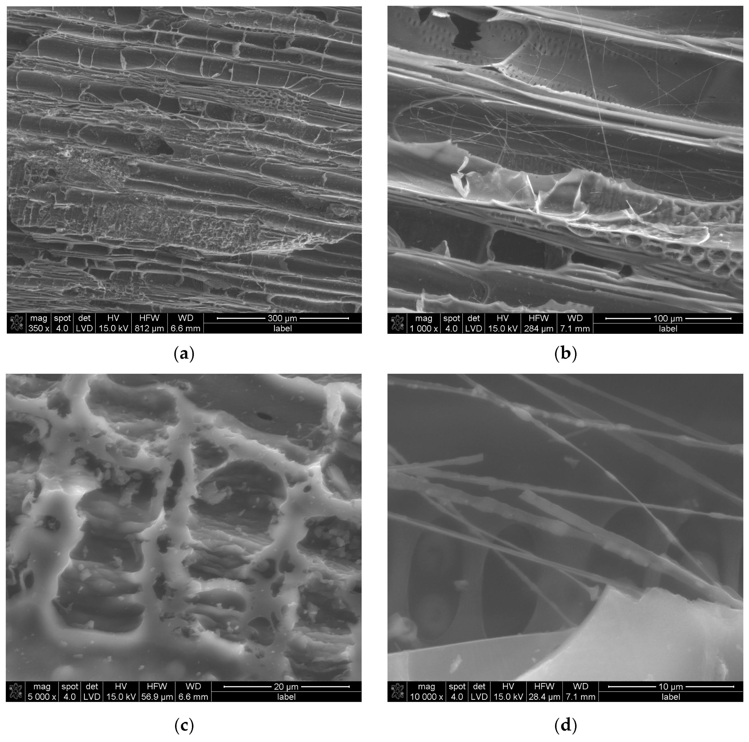 Materials 18 01730 g001