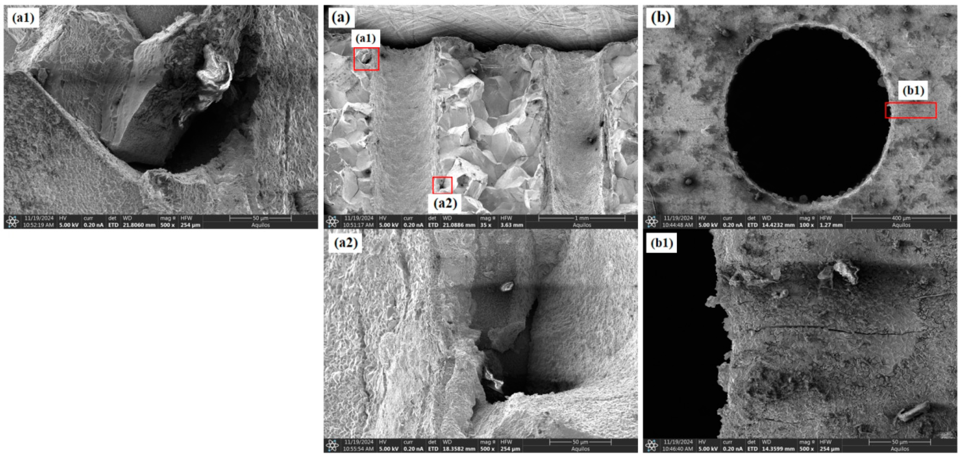 Materials 18 01737 g005