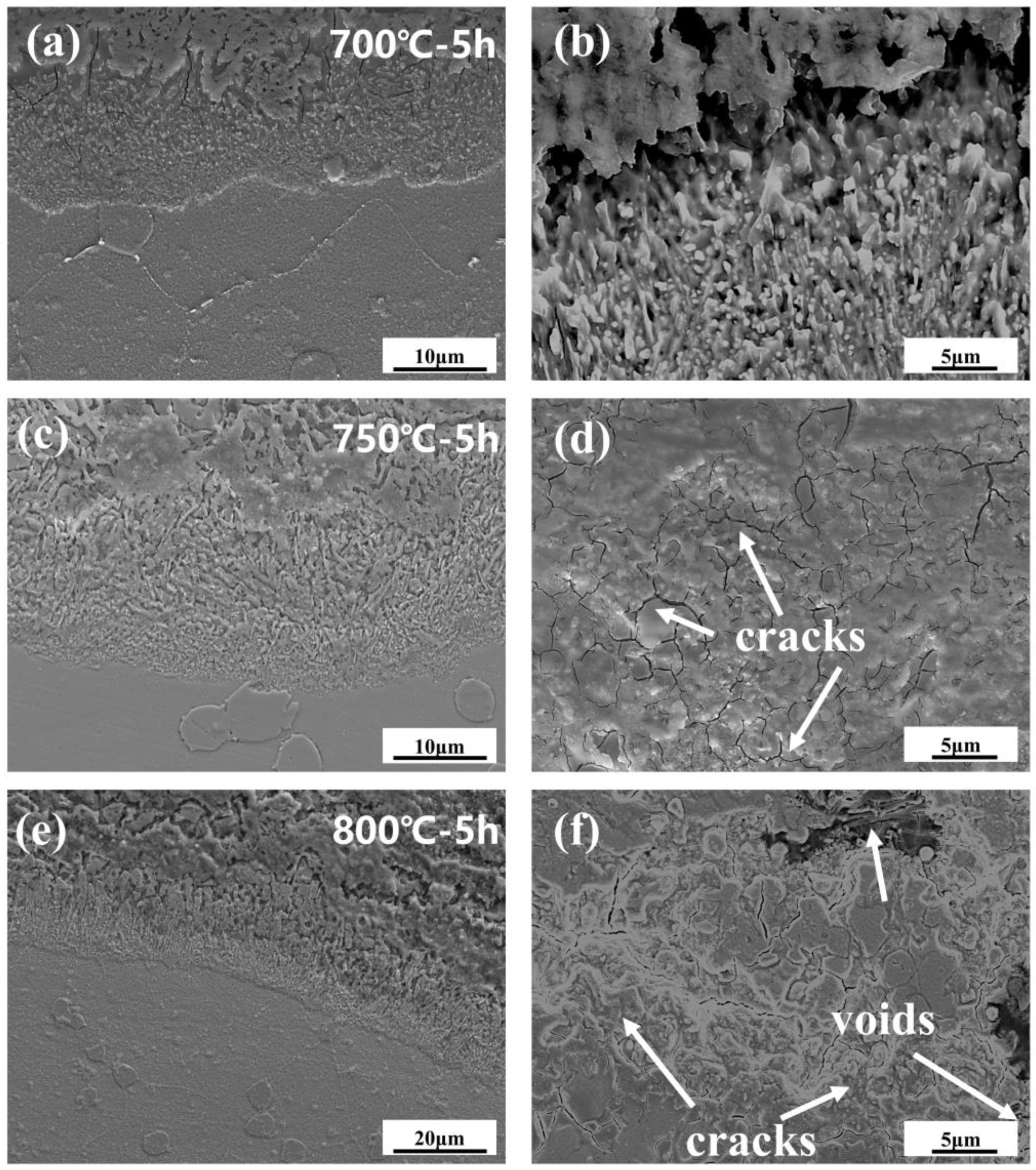 Materials 18 01749 g007