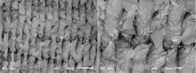 Materials 18 01765 i010