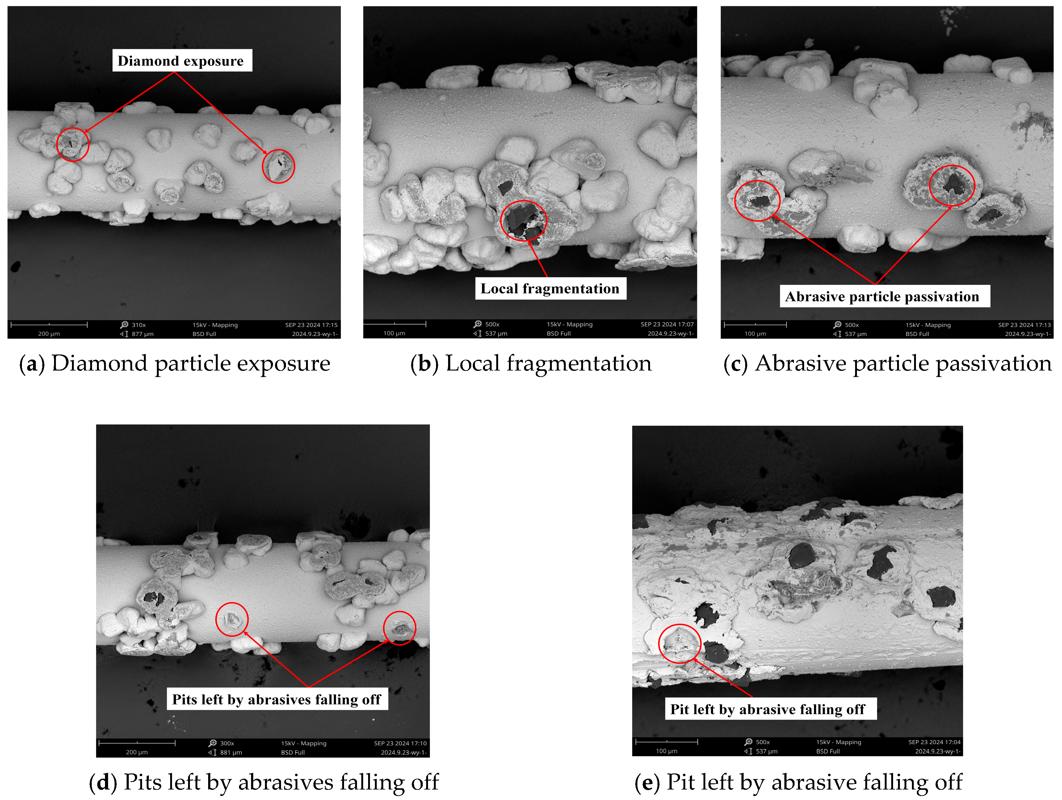 Materials 18 01768 g002