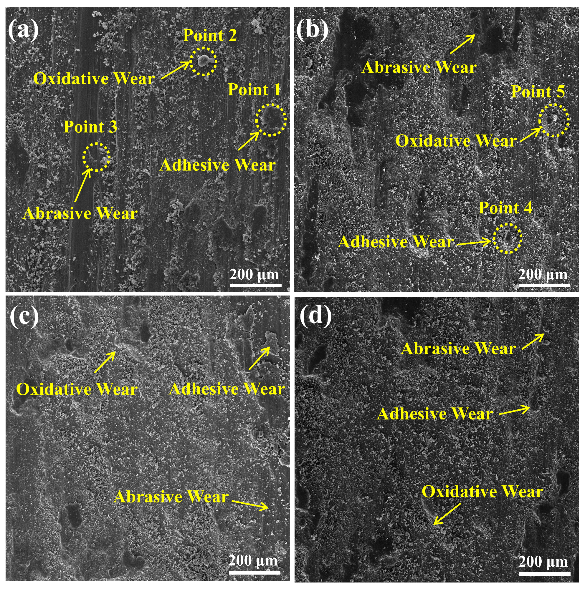 Materials 18 01770 g009
