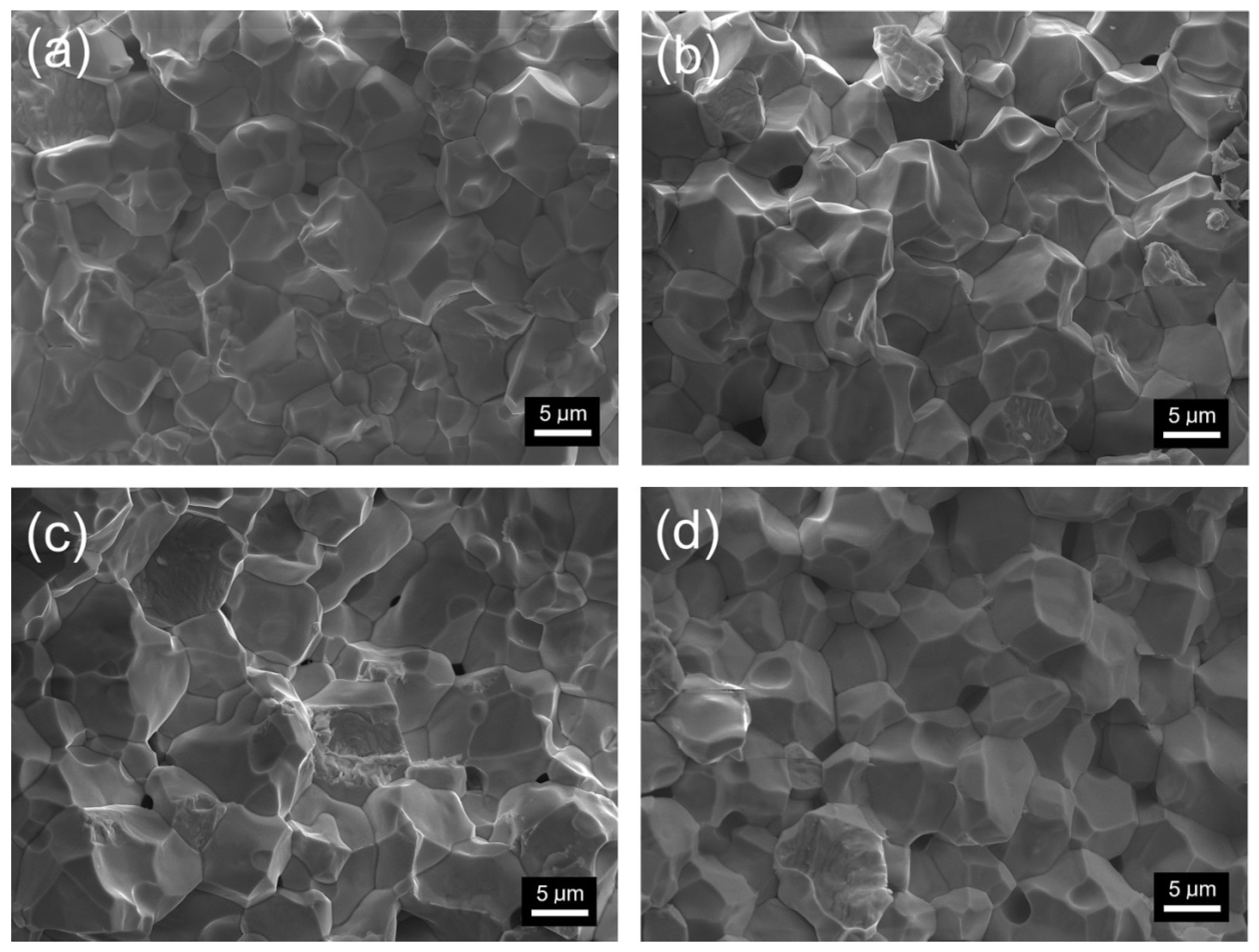 Materials 18 01773 g003