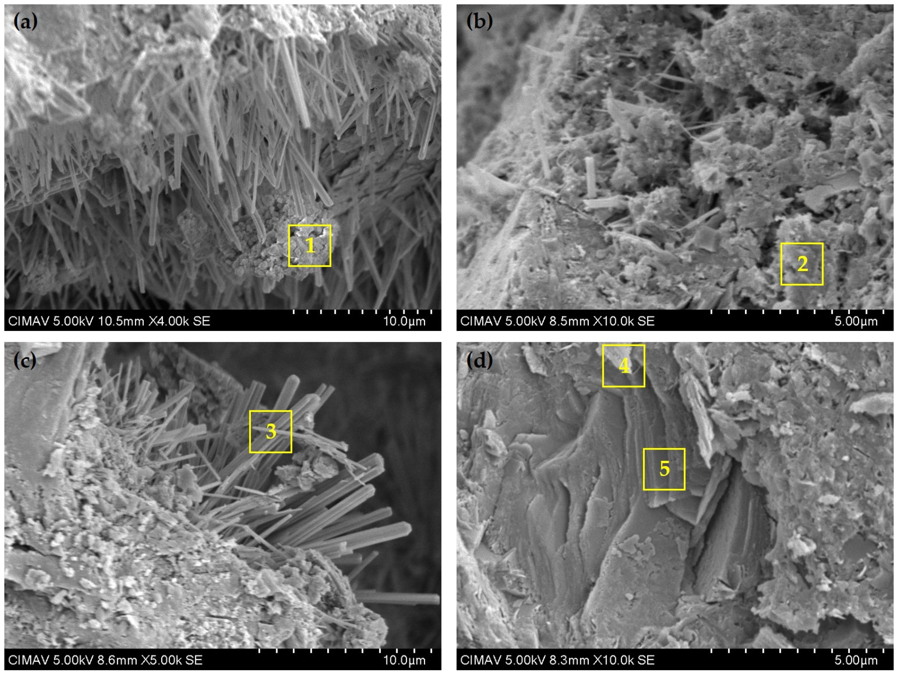 Materials 18 01776 g007