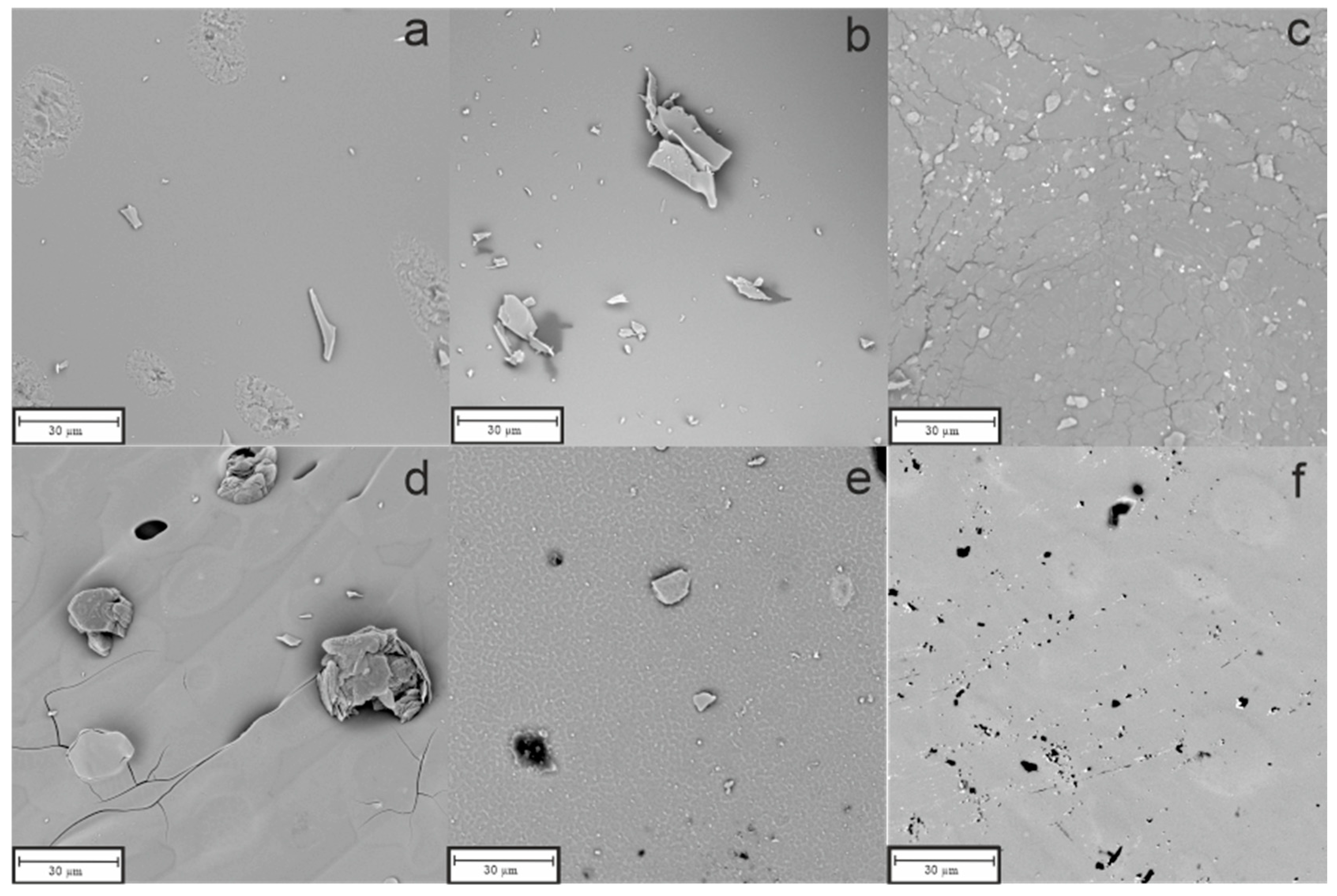 Effect of Temperature and Ceramization Atmosphere on the