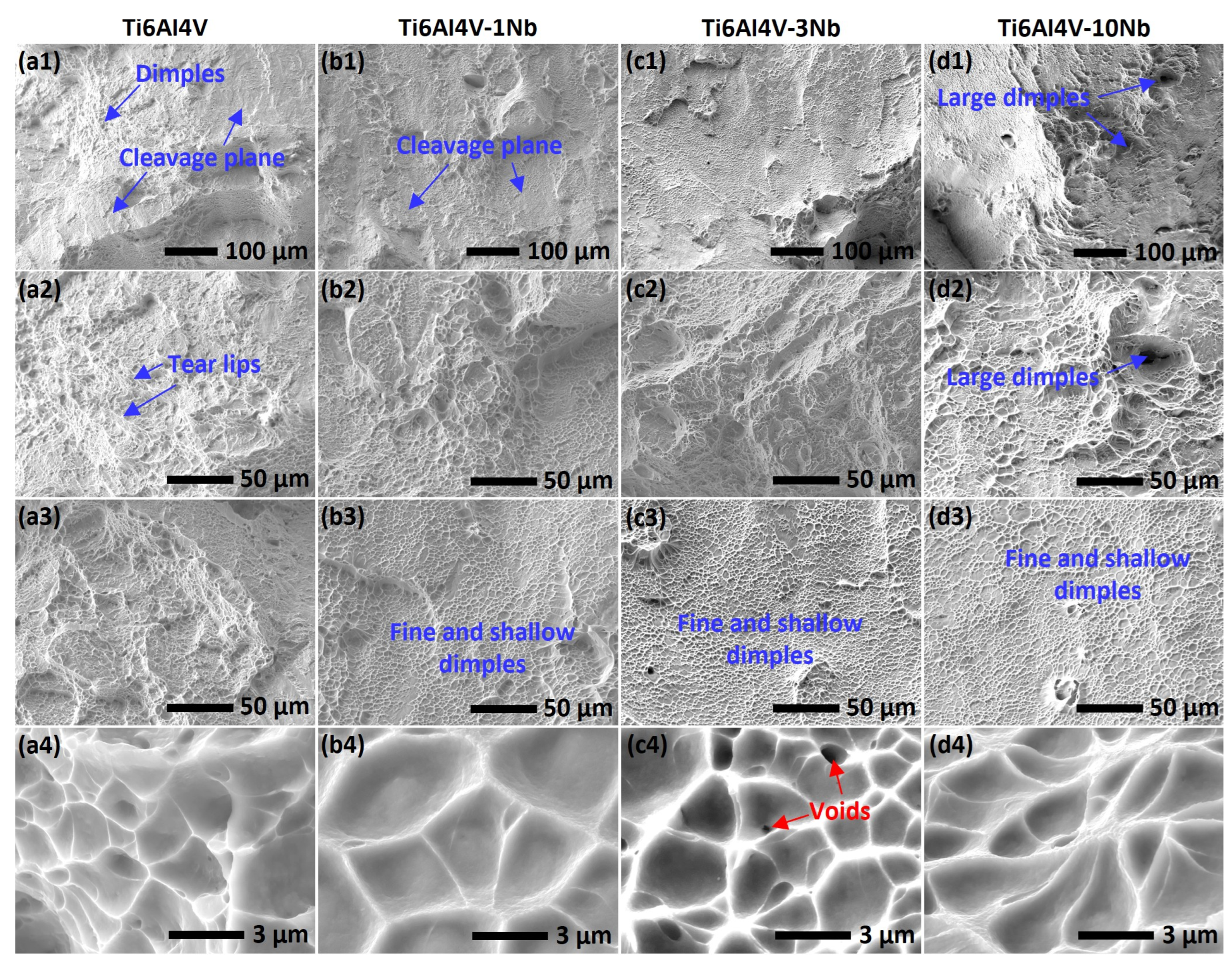 Materials 18 01803 g010