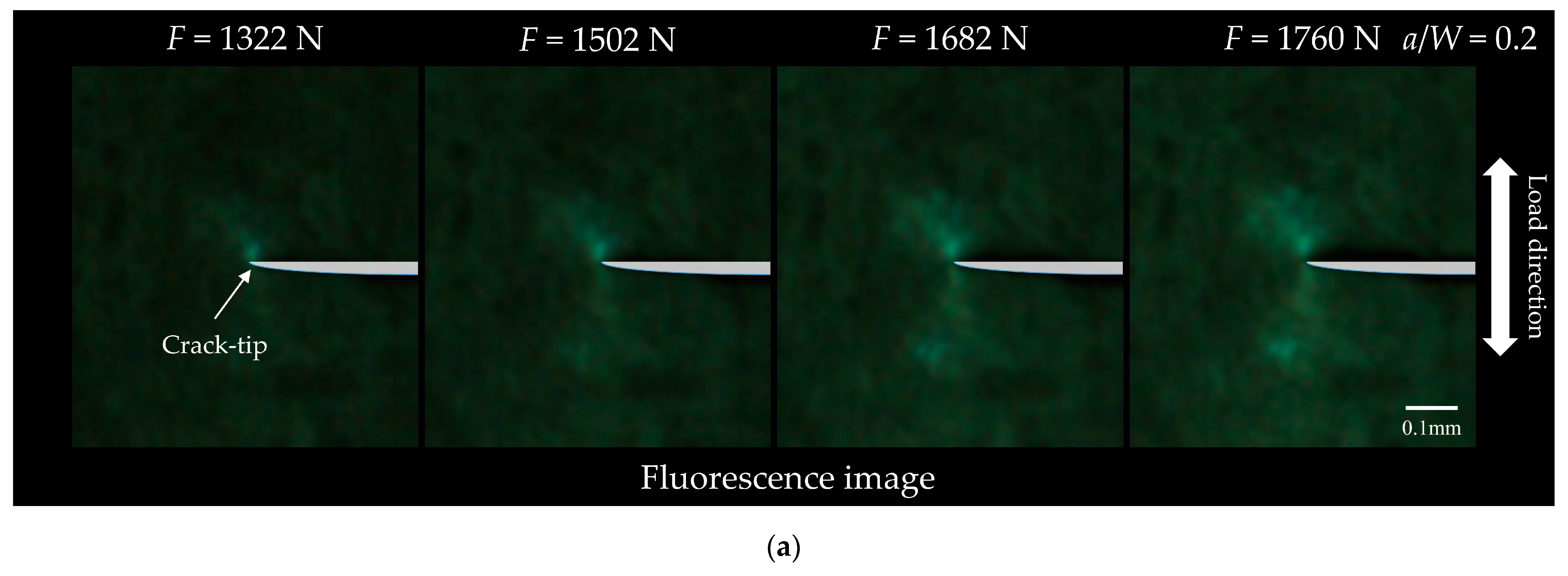Materials 18 01810 g002a