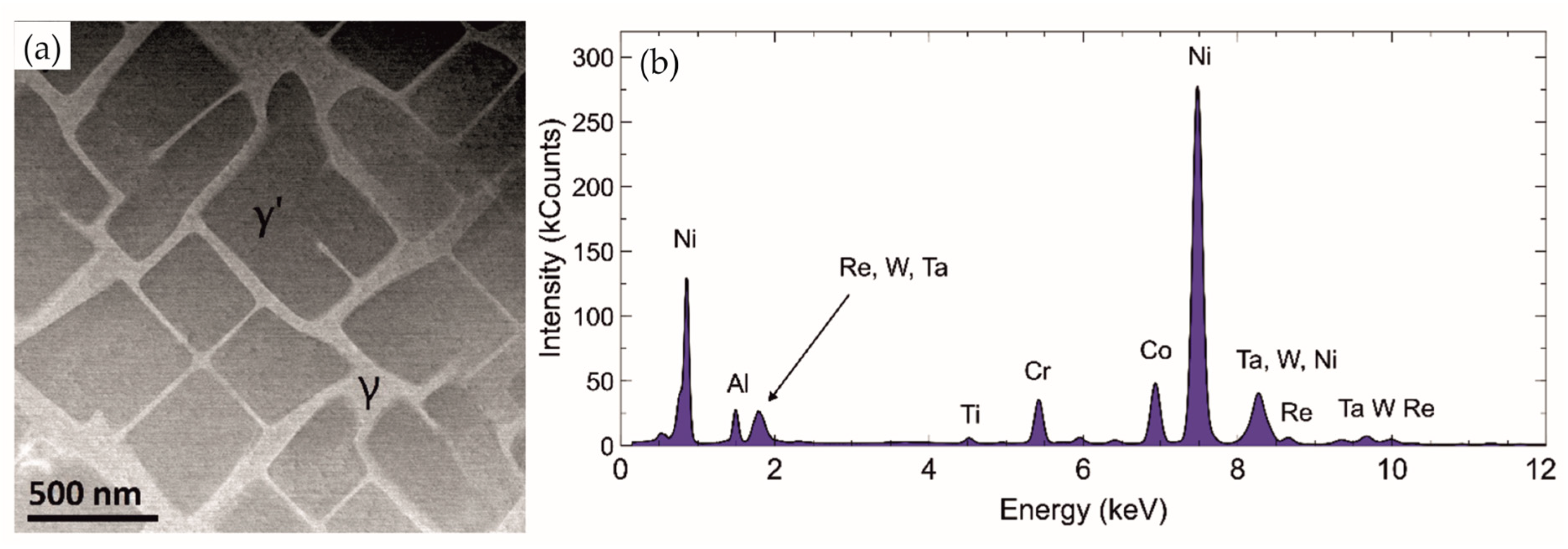 Materials 18 01819 g007