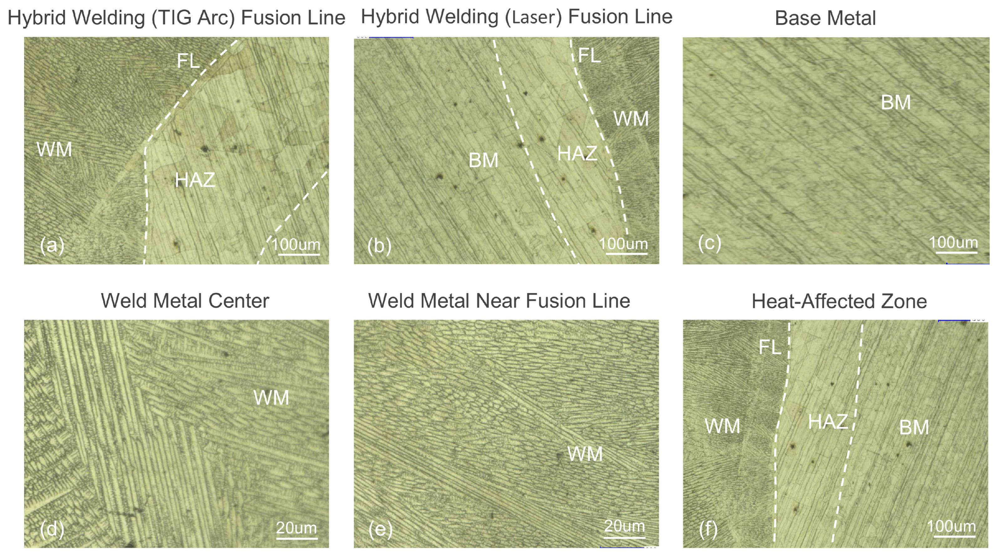 Materials 18 01824 g009