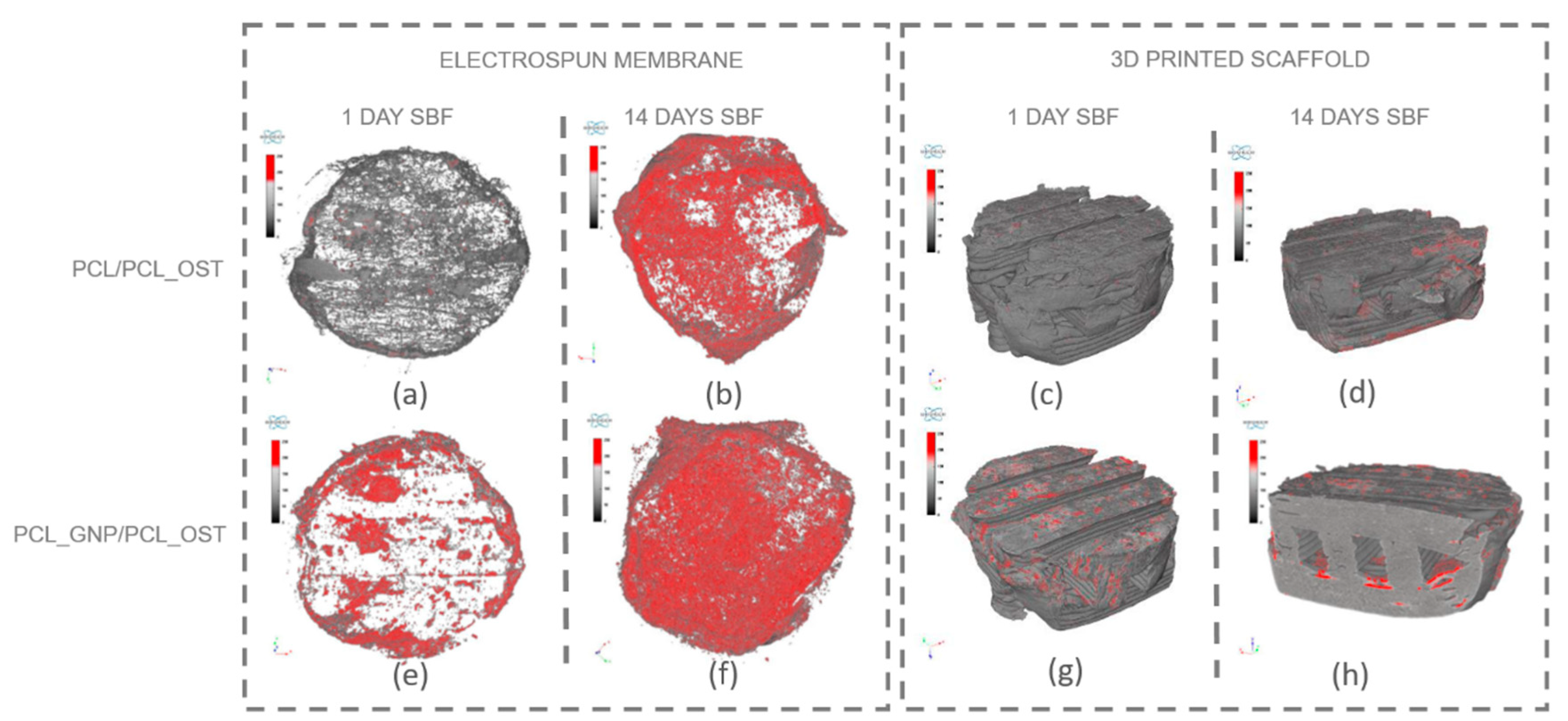 Materials 18 01826 g006