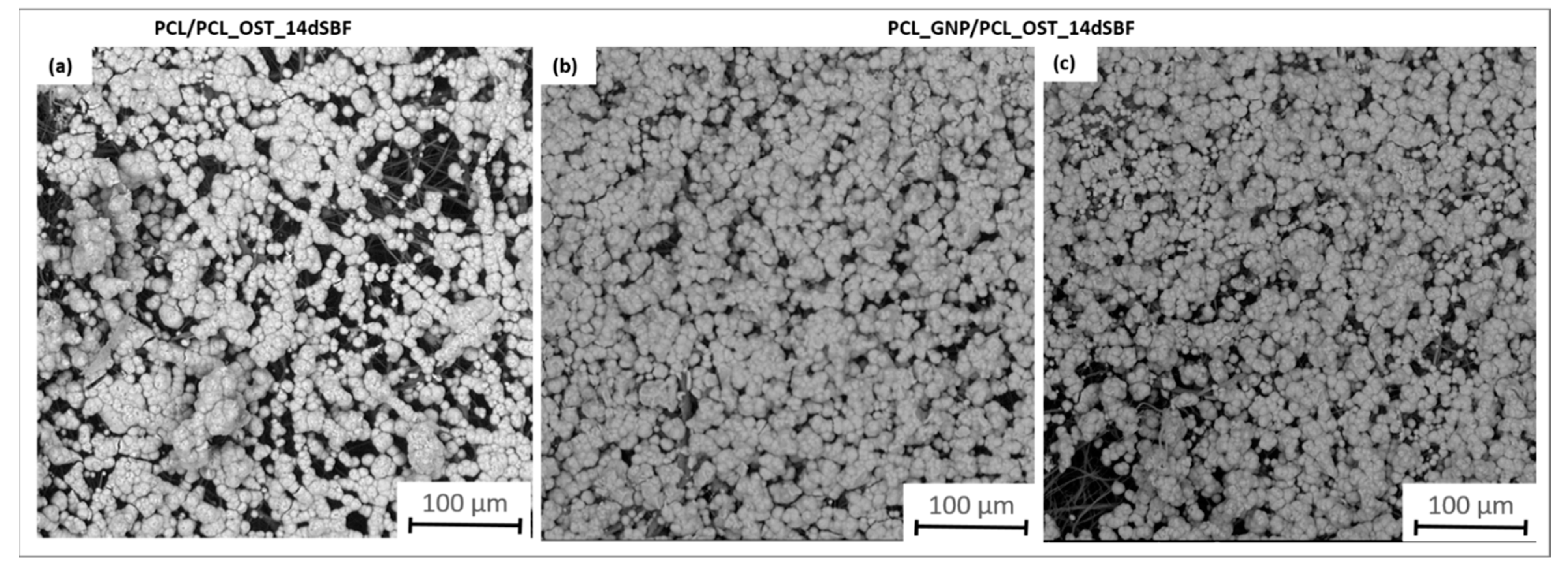 Materials 18 01826 g007