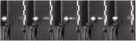 Materials 18 01833 i006