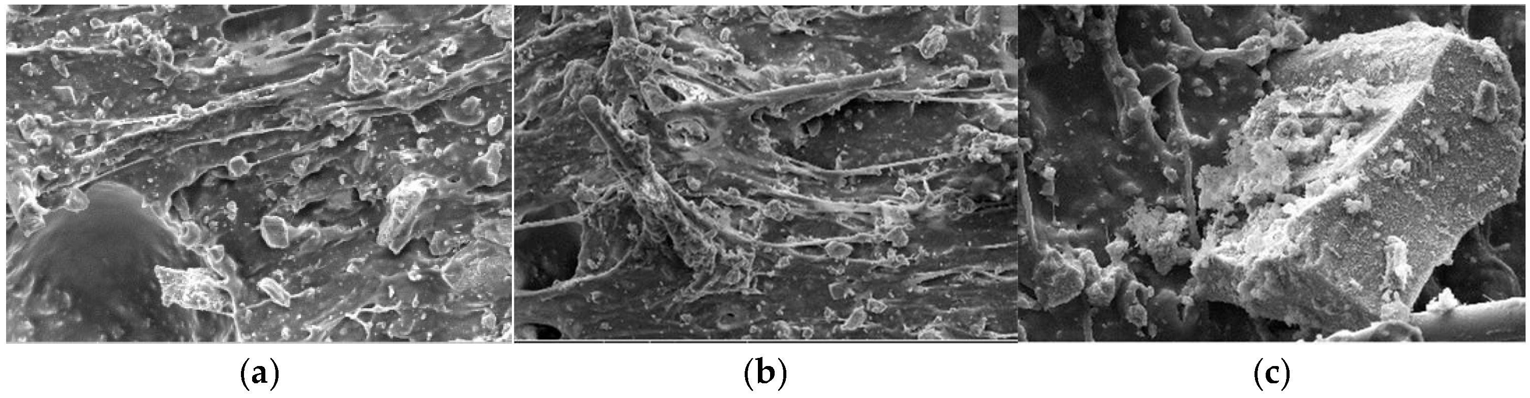 Materials 18 01837 g010