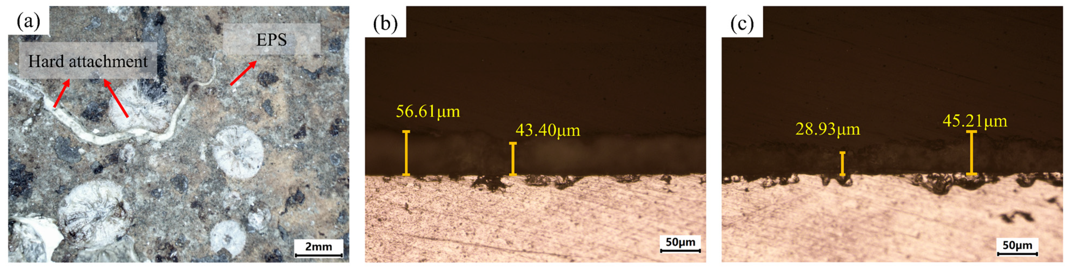 Materials 18 01843 g001