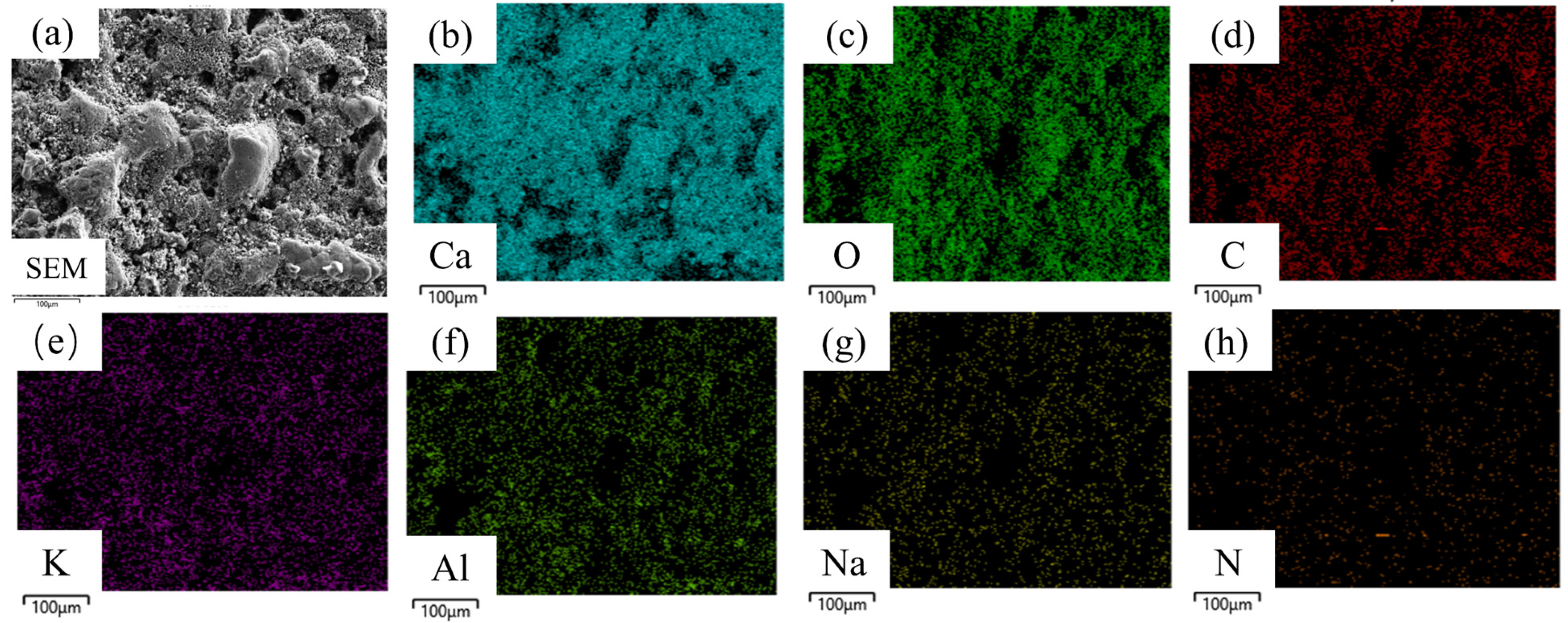 Materials 18 01843 g003