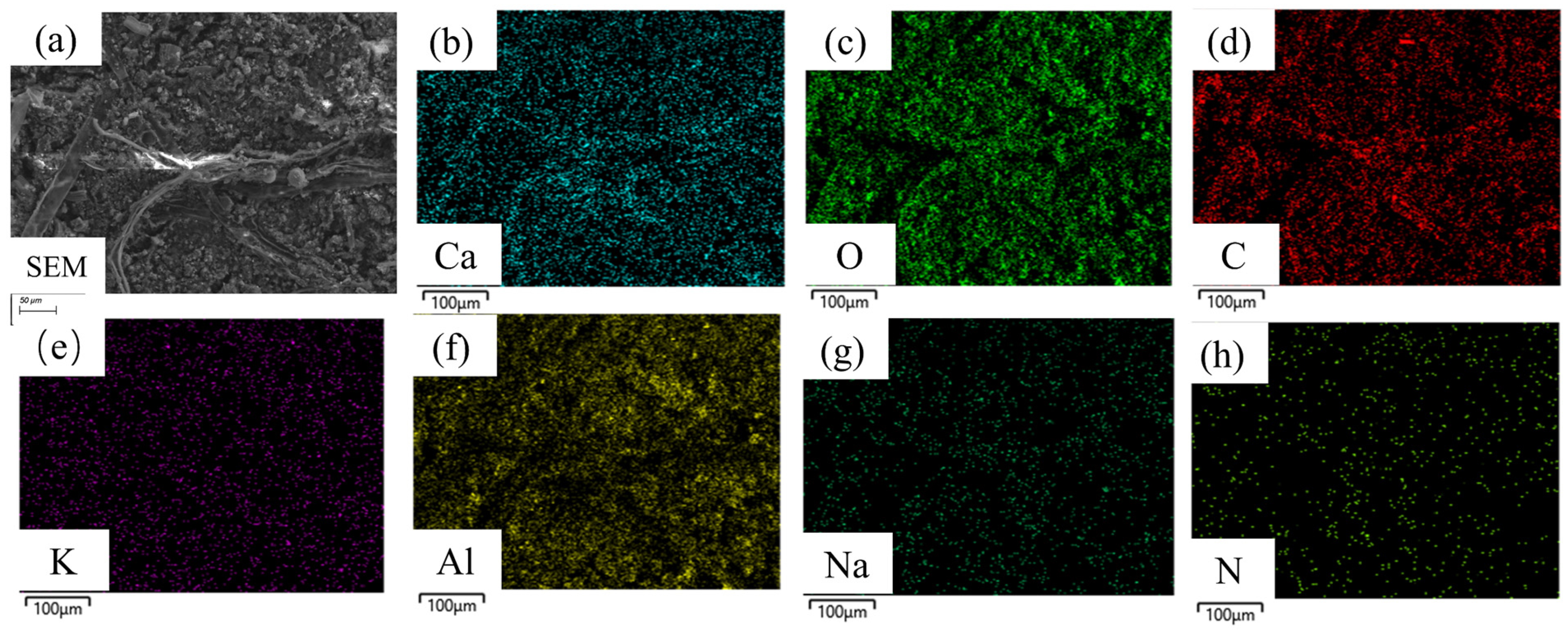 Materials 18 01843 g004