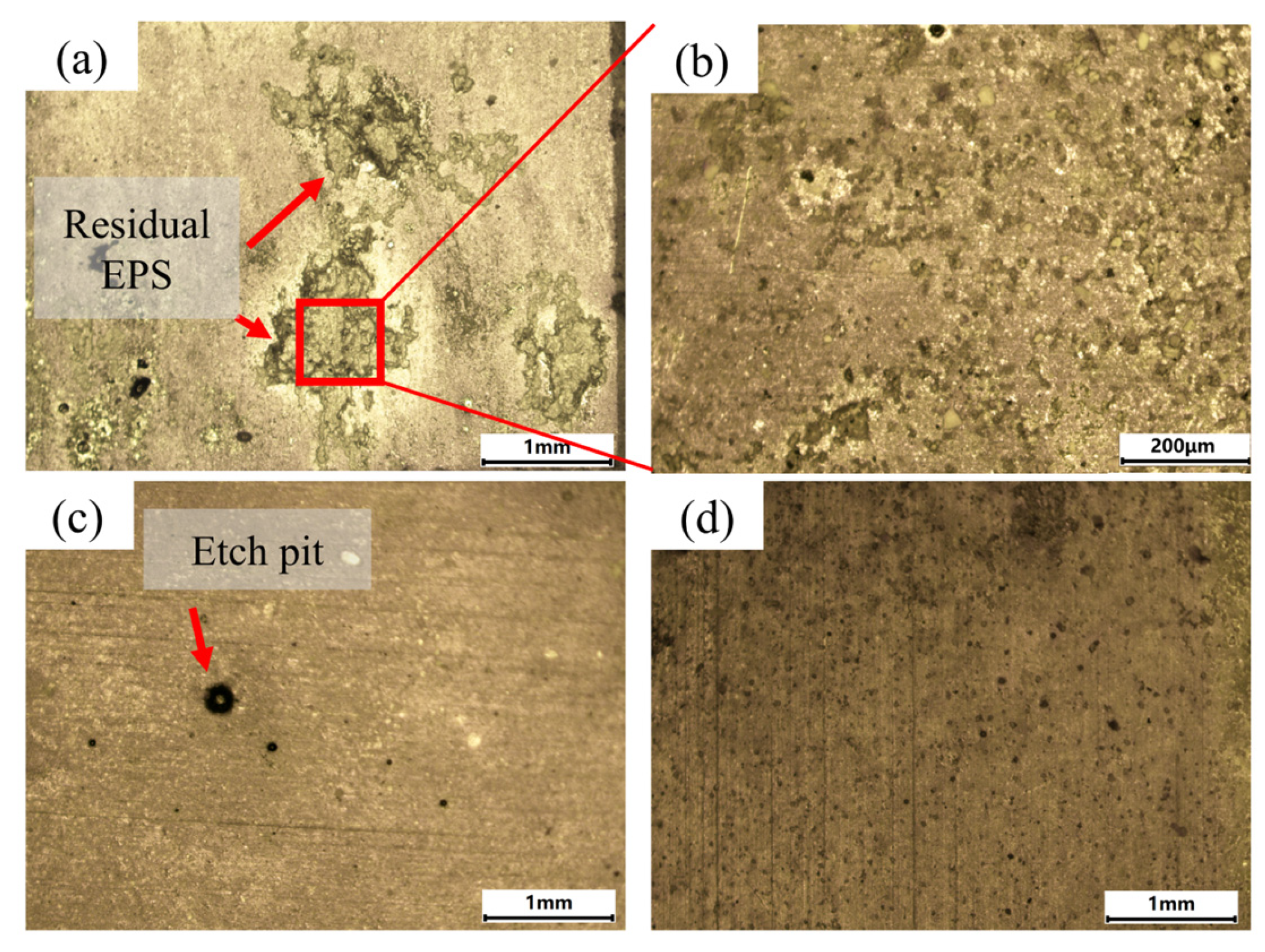 Materials 18 01843 g010