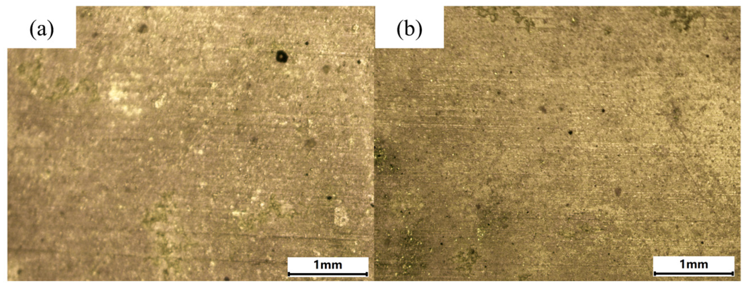 Materials 18 01843 g016