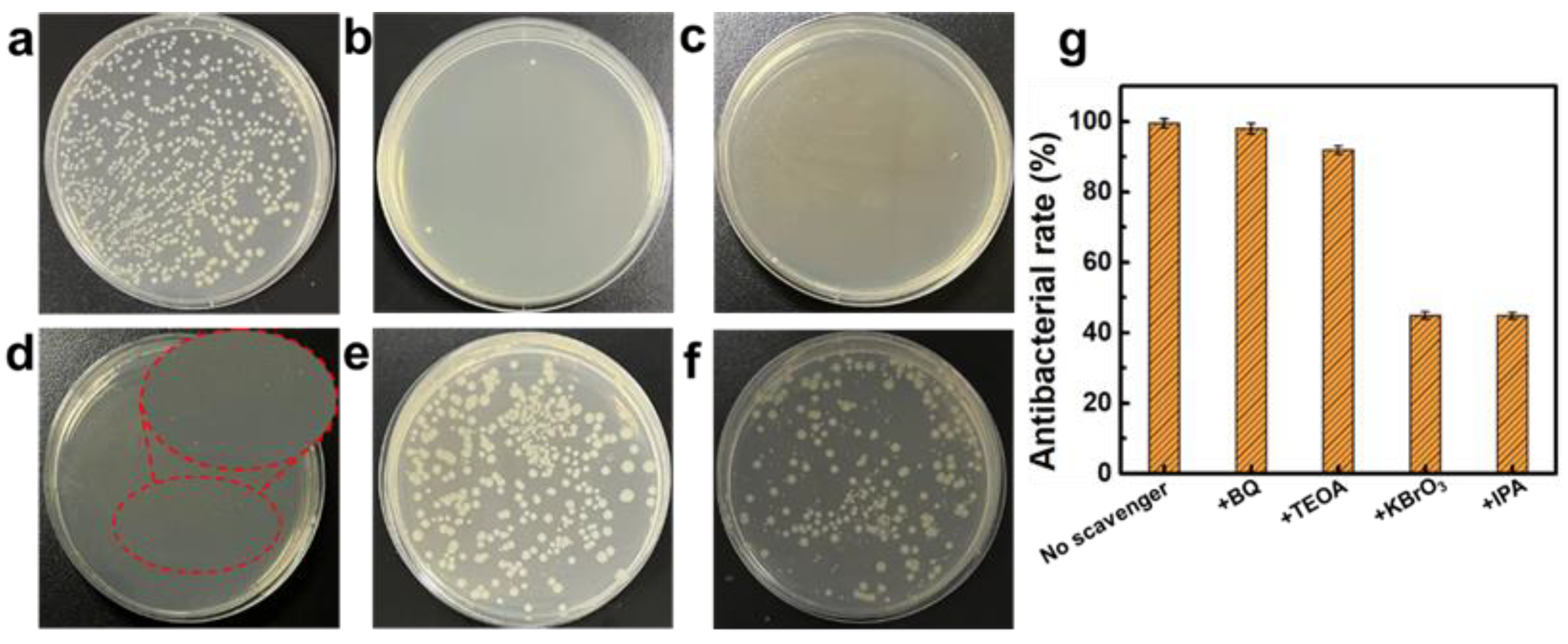 Materials 18 01844 g005