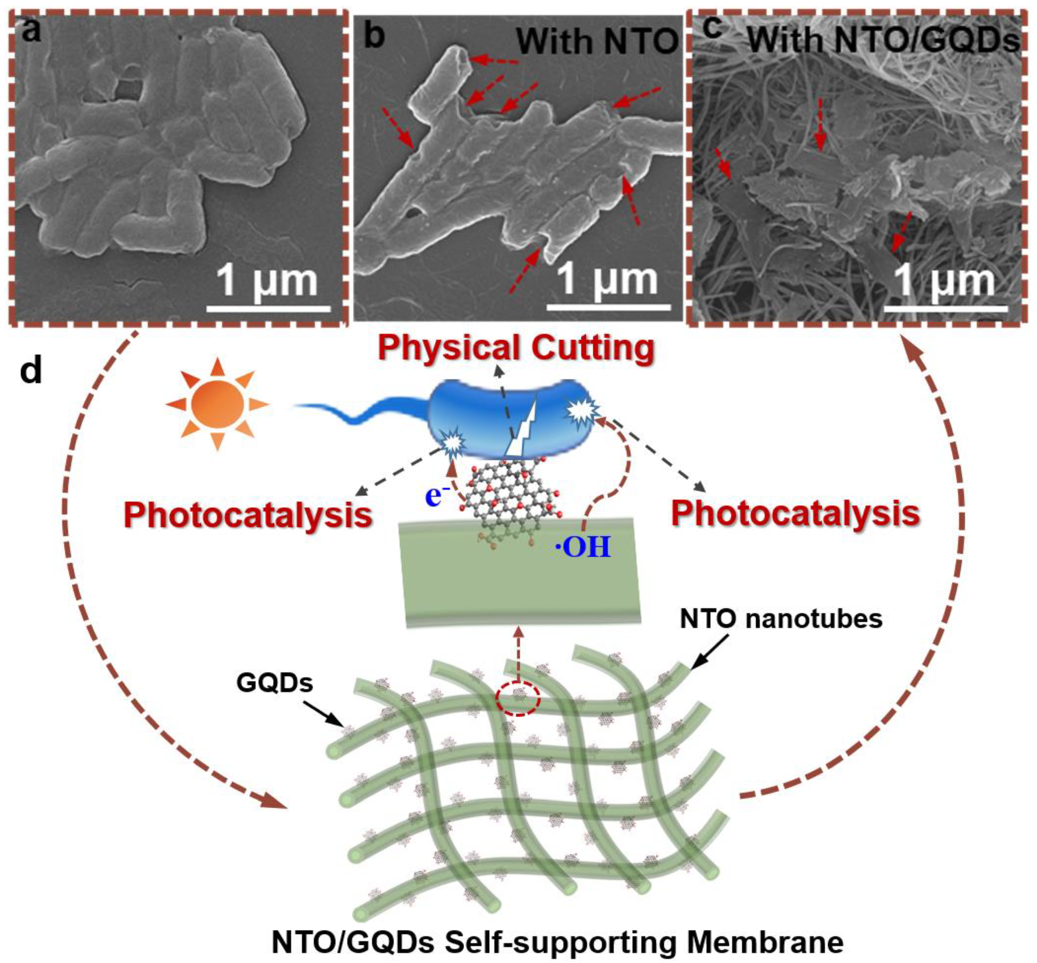 Materials 18 01844 g007