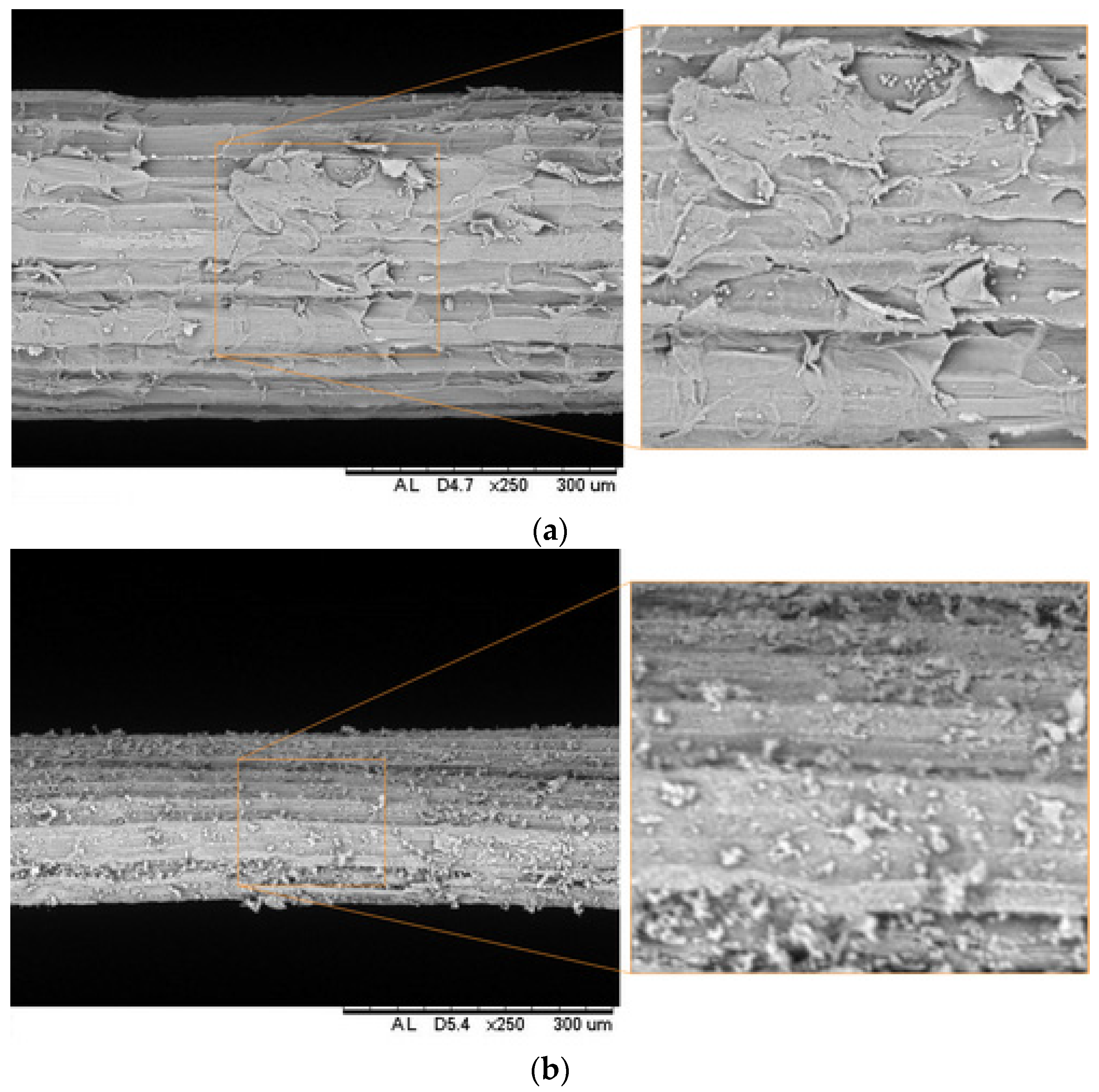 Materials 18 01850 g001