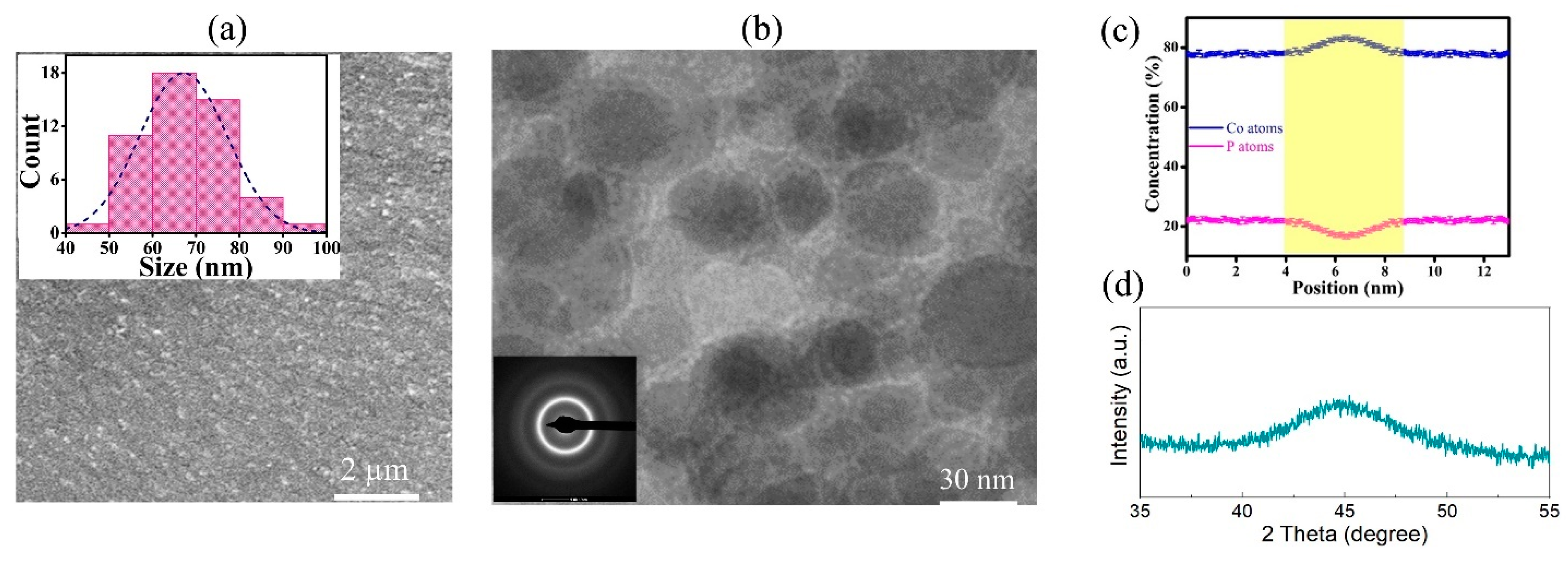 Materials 18 01853 g005