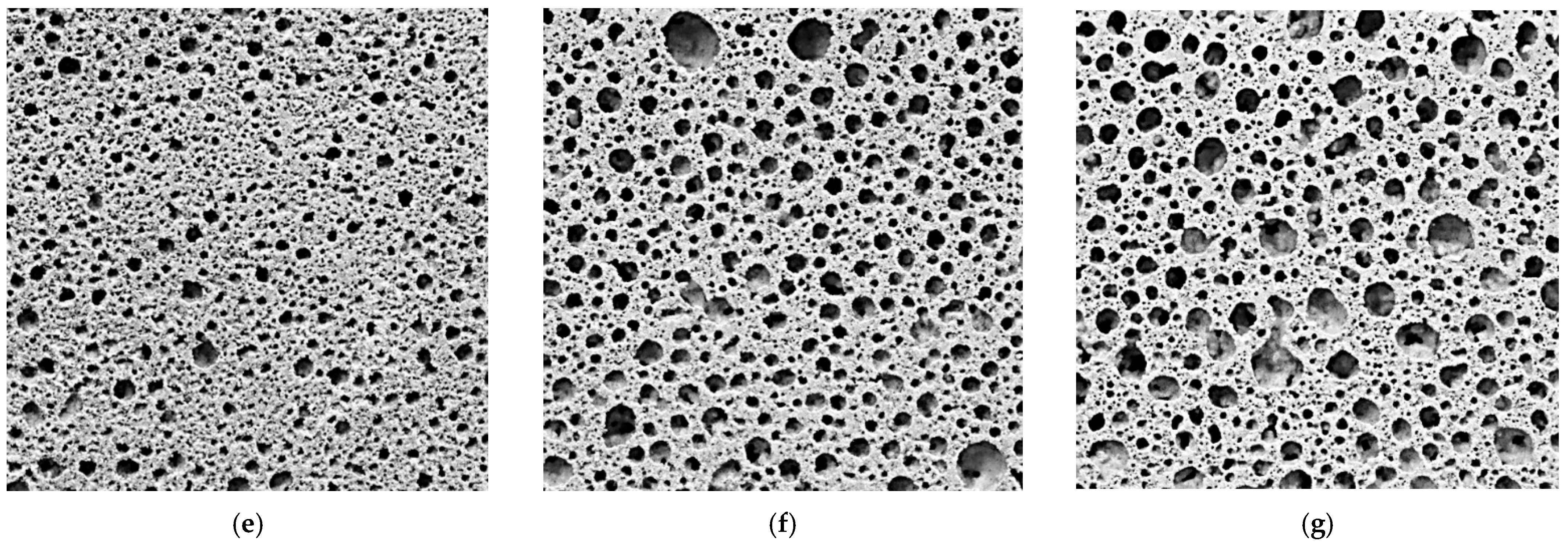 Materials 18 01881 g003b