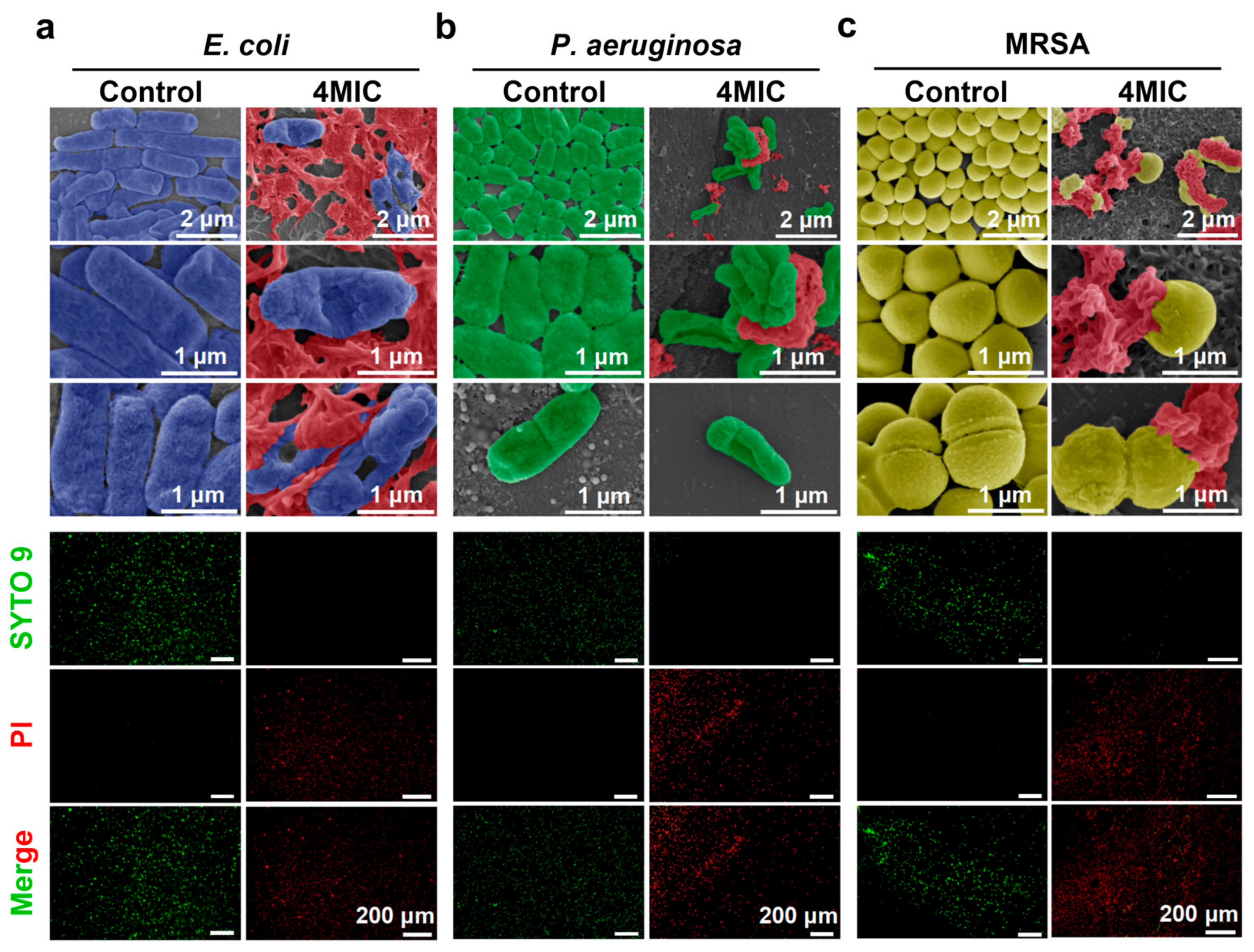 Materials 18 01889 g009