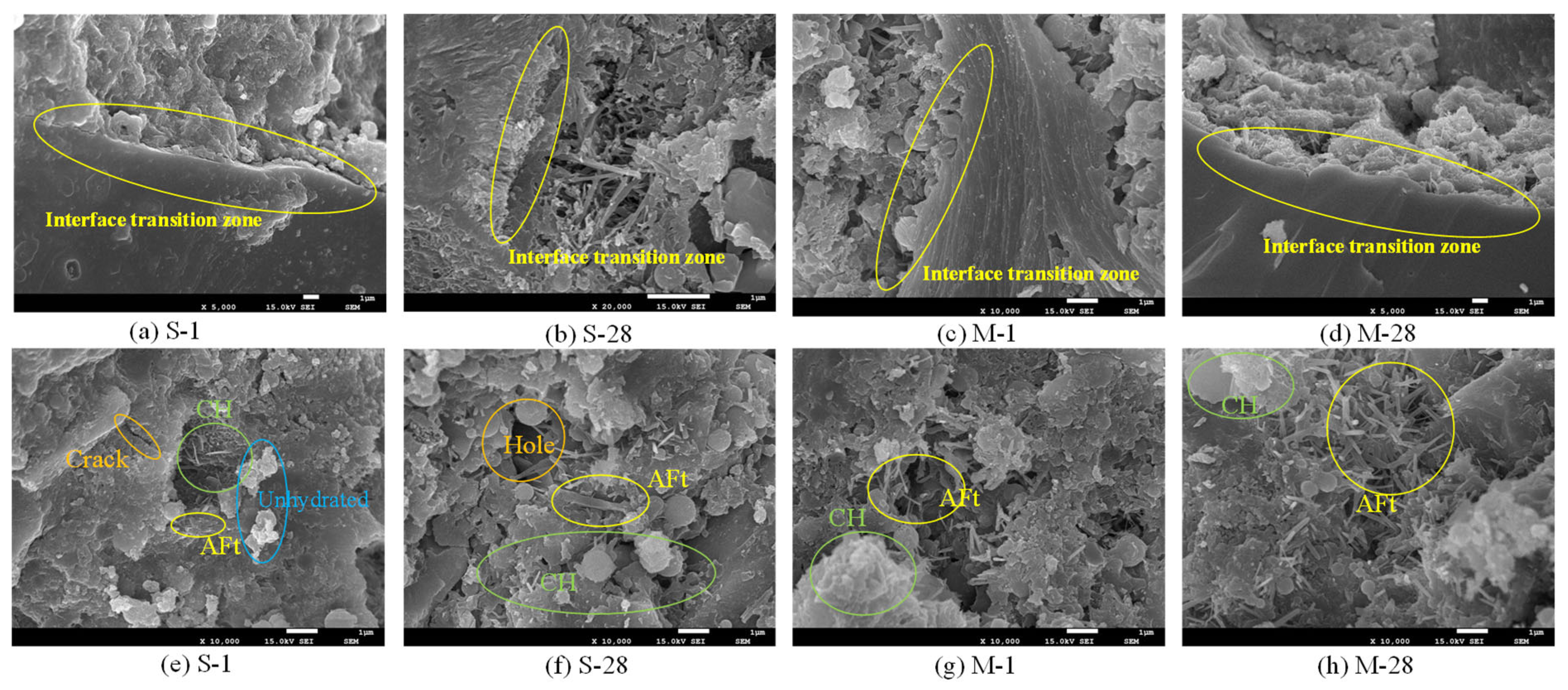 Materials 18 01892 g008