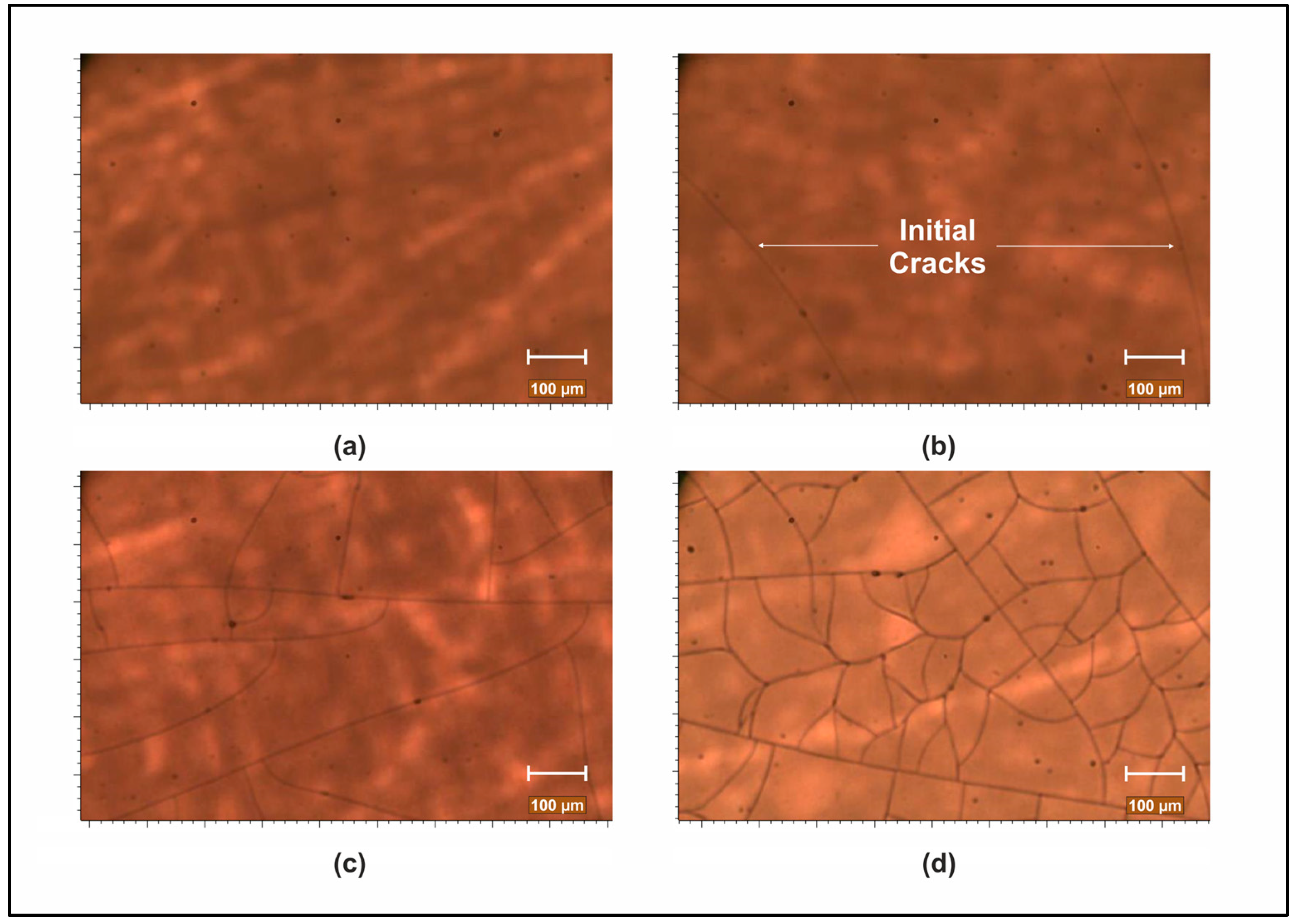 Materials 18 01904 g008
