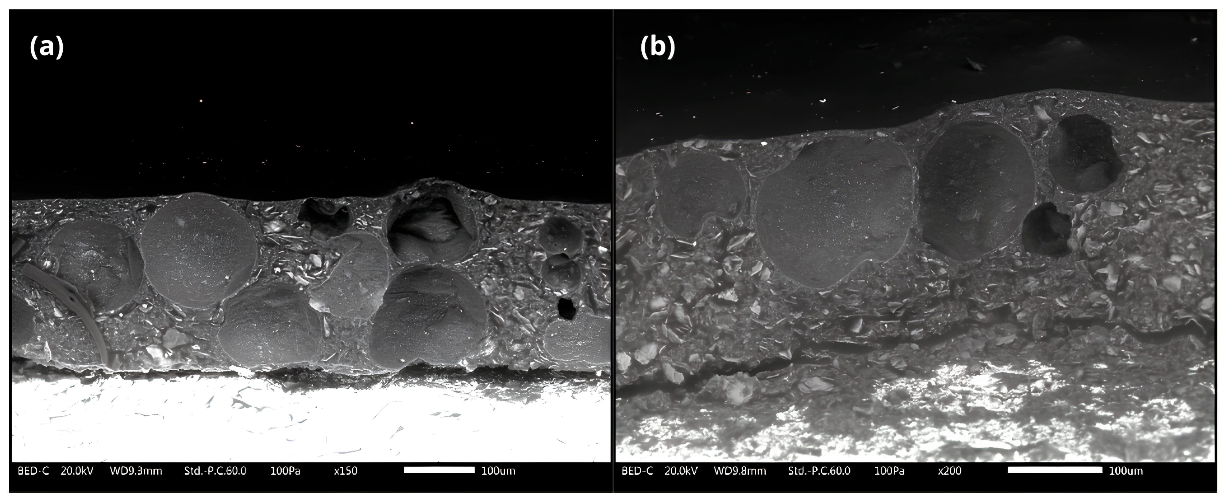 Materials 18 01906 g007