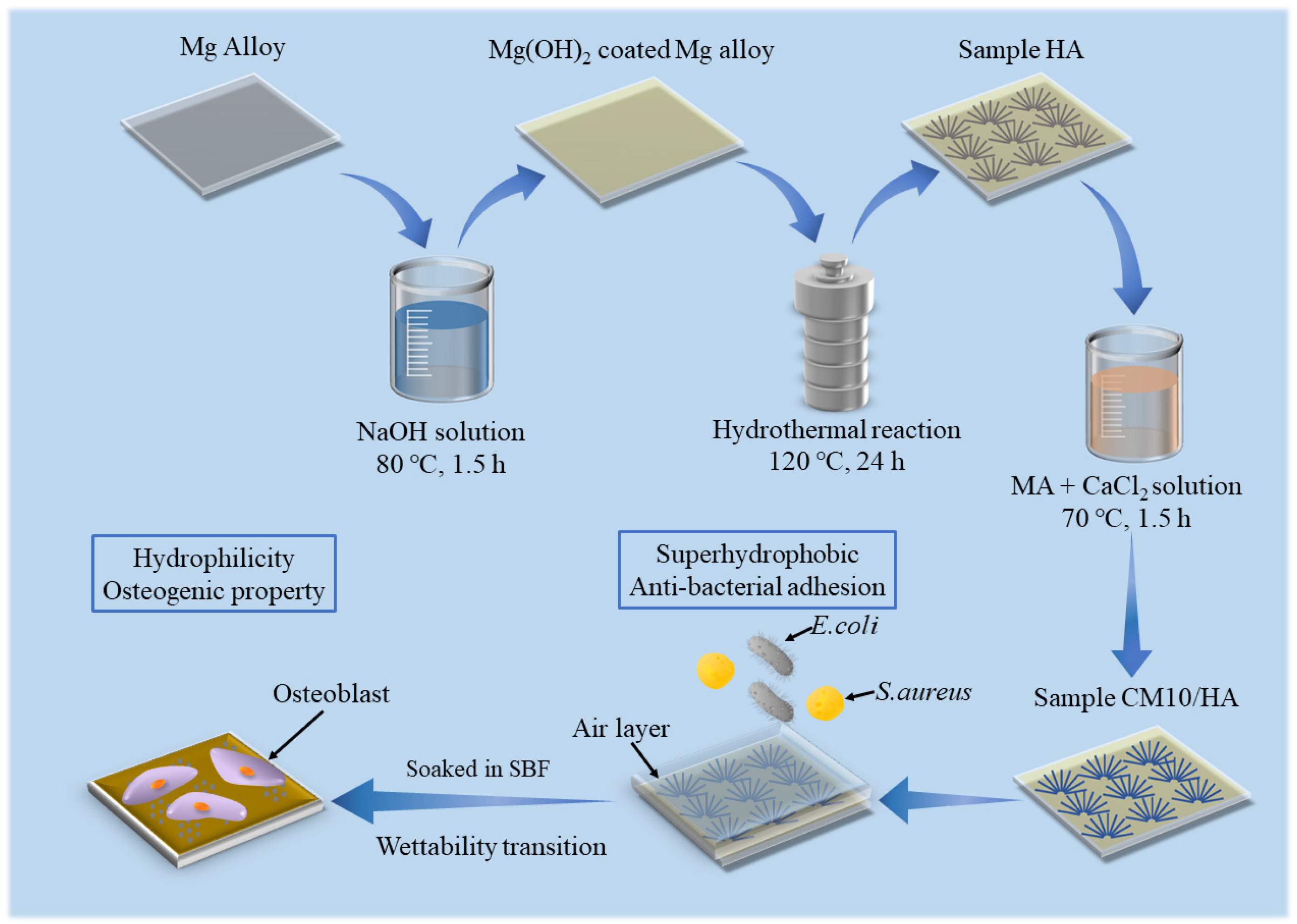 Materials 18 01908 g001