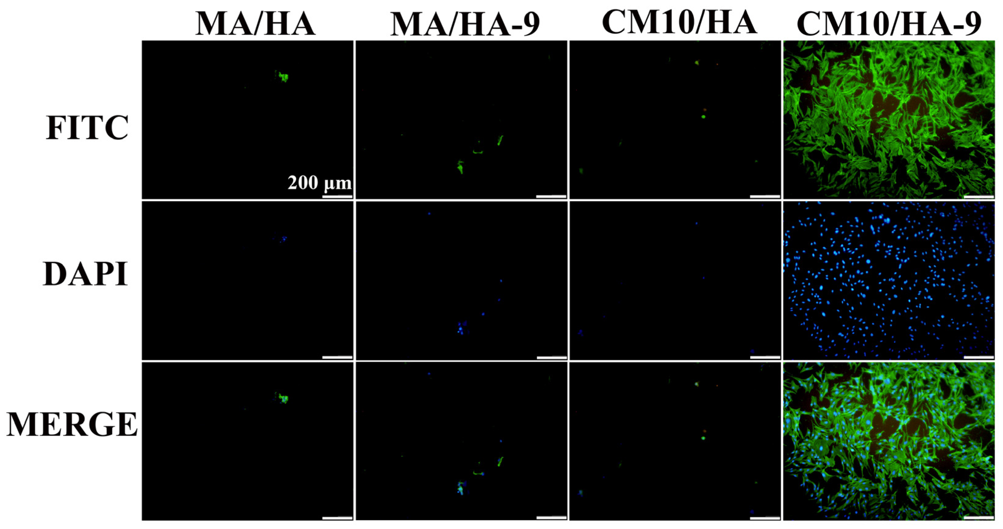 Materials 18 01908 g013