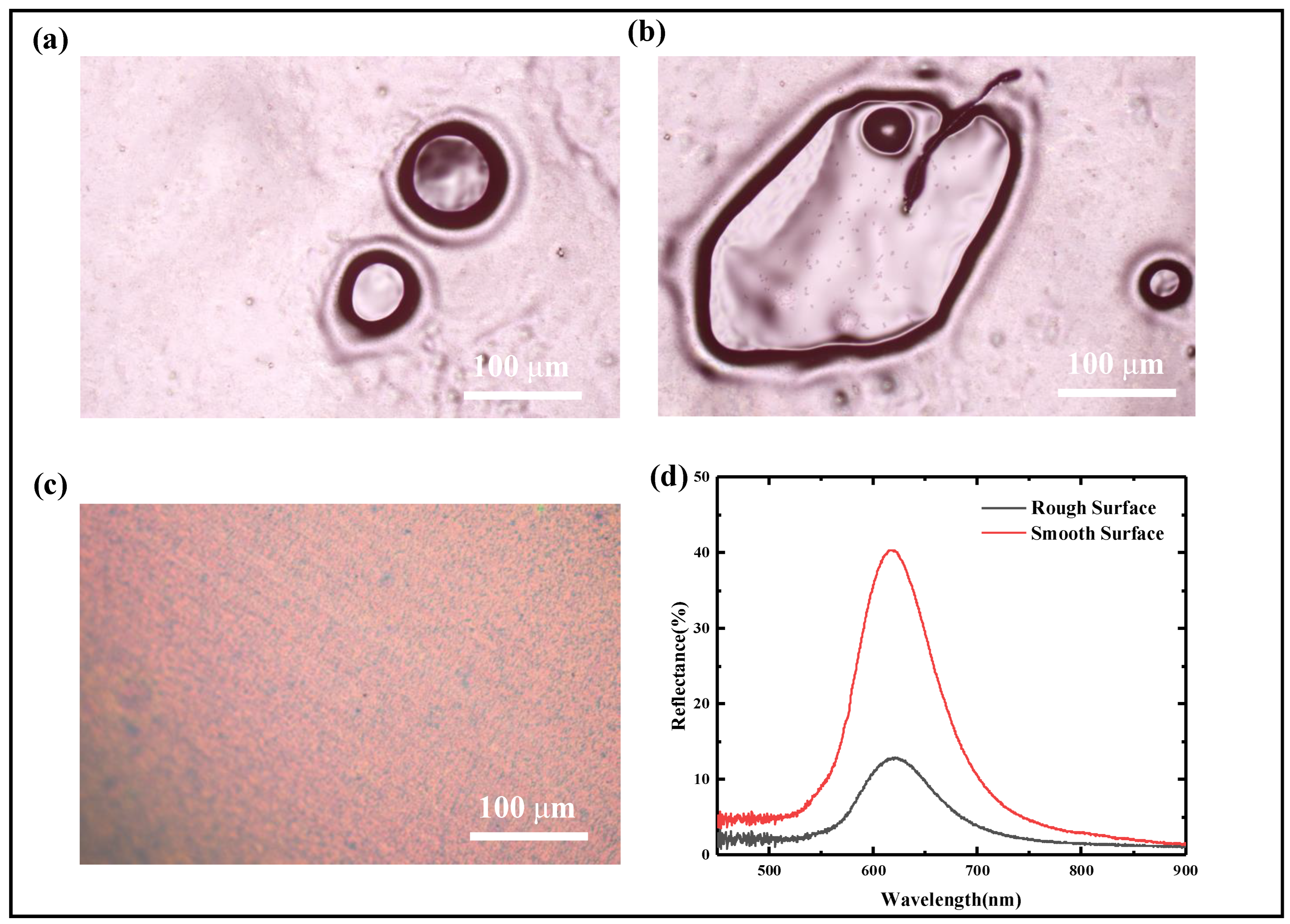 Materials 18 01927 g005