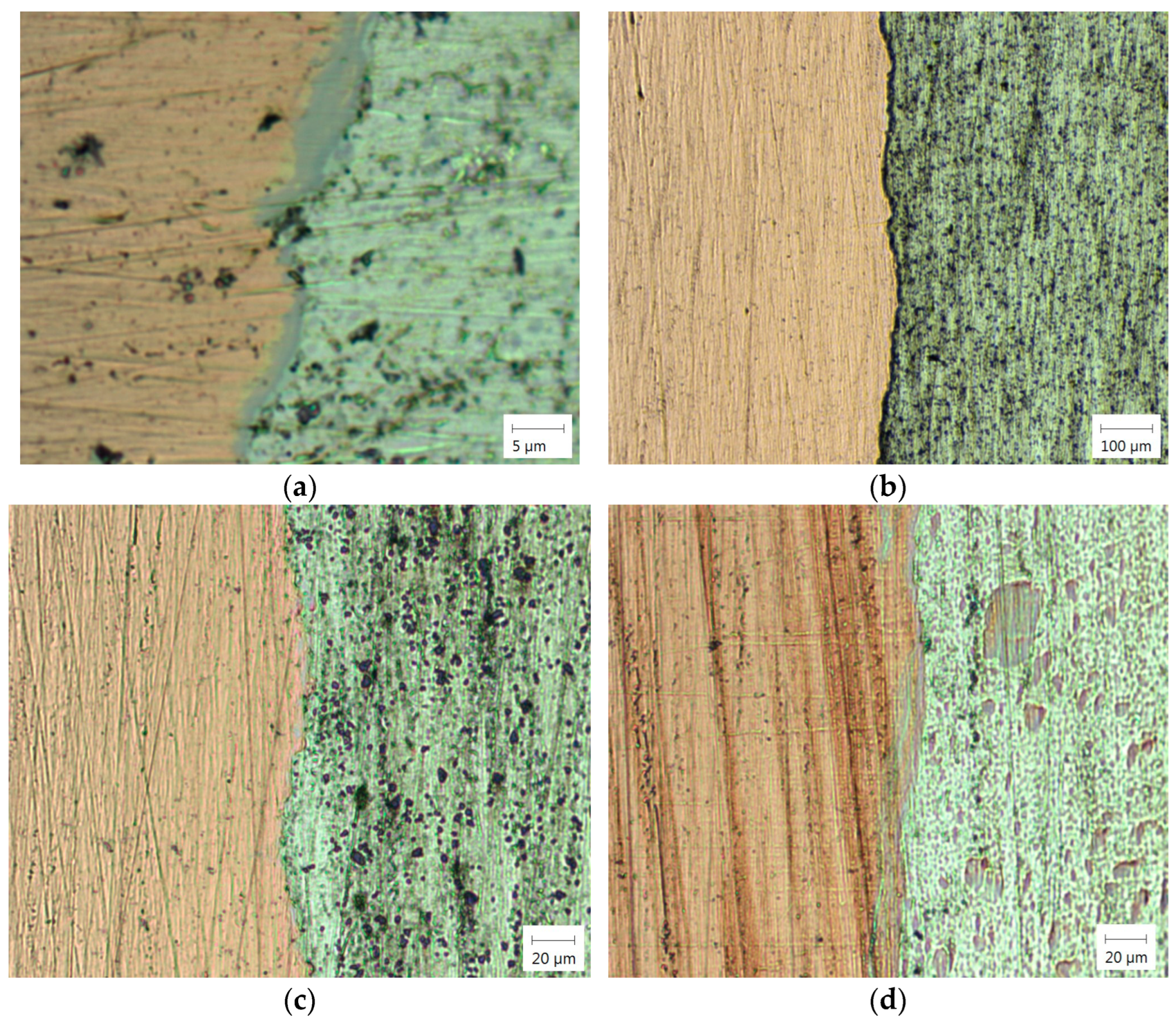 Materials 18 01932 g010