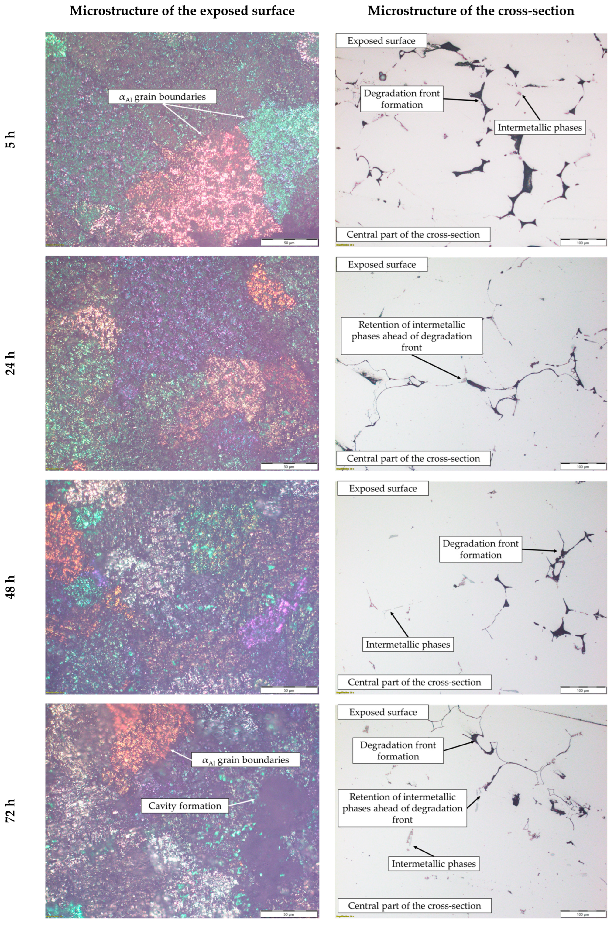Materials 18 01938 g010