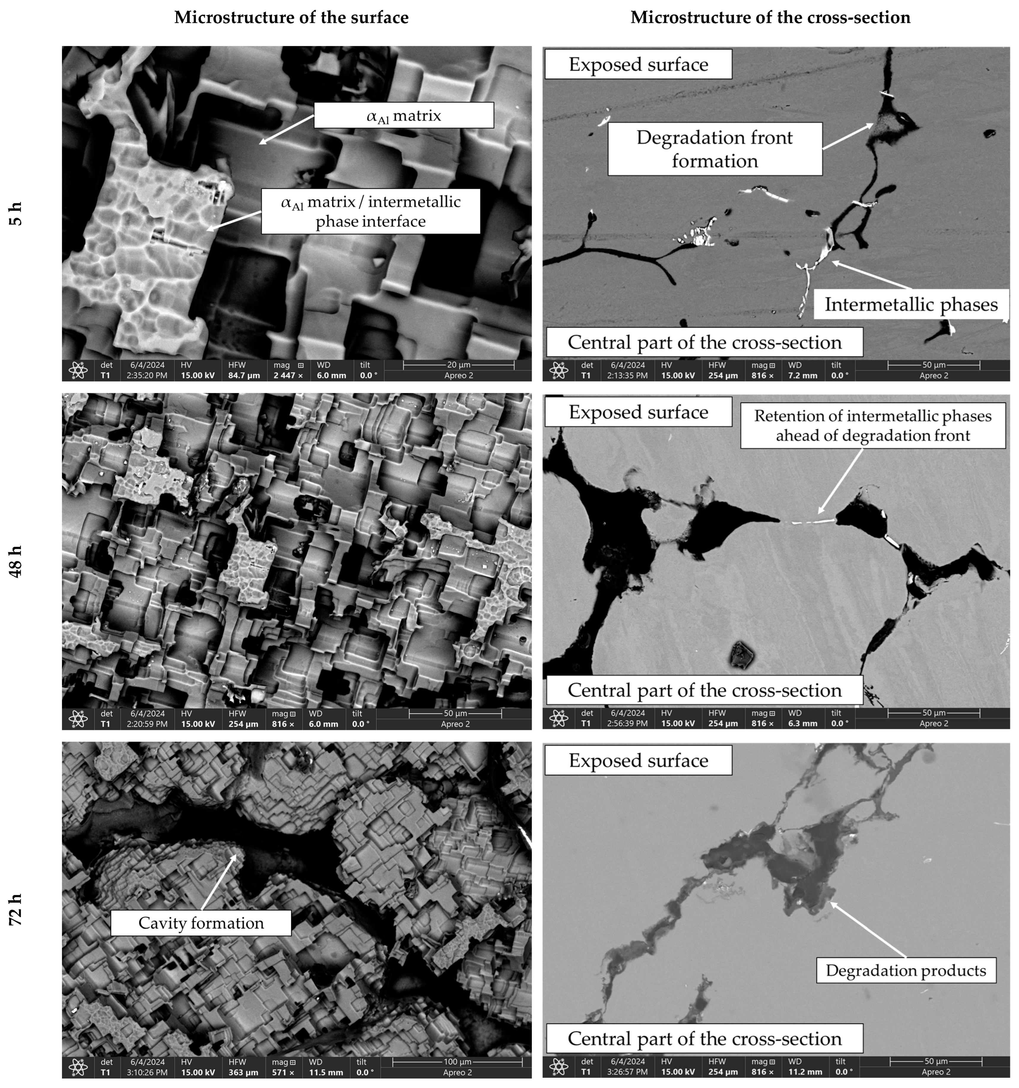 Materials 18 01938 g011