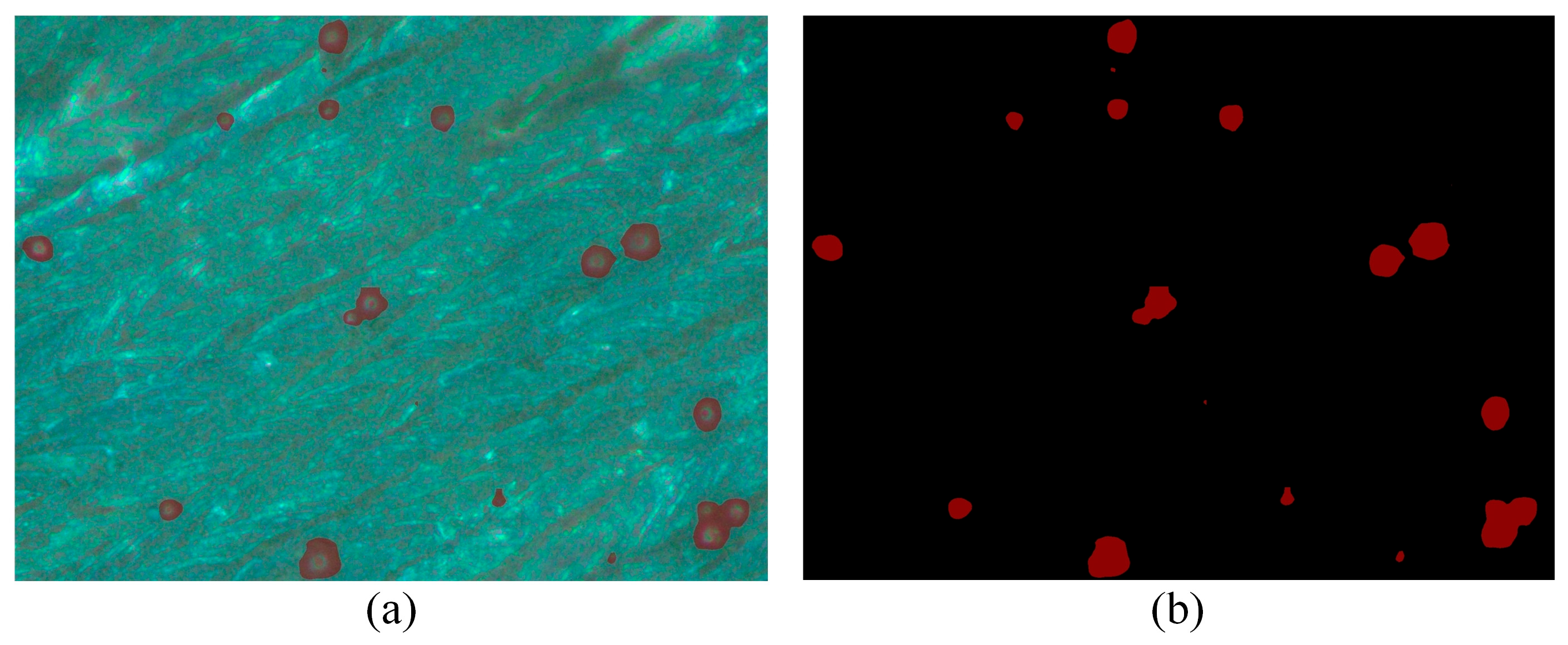 Materials 18 01949 g002