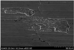 Materials 18 01959 i010