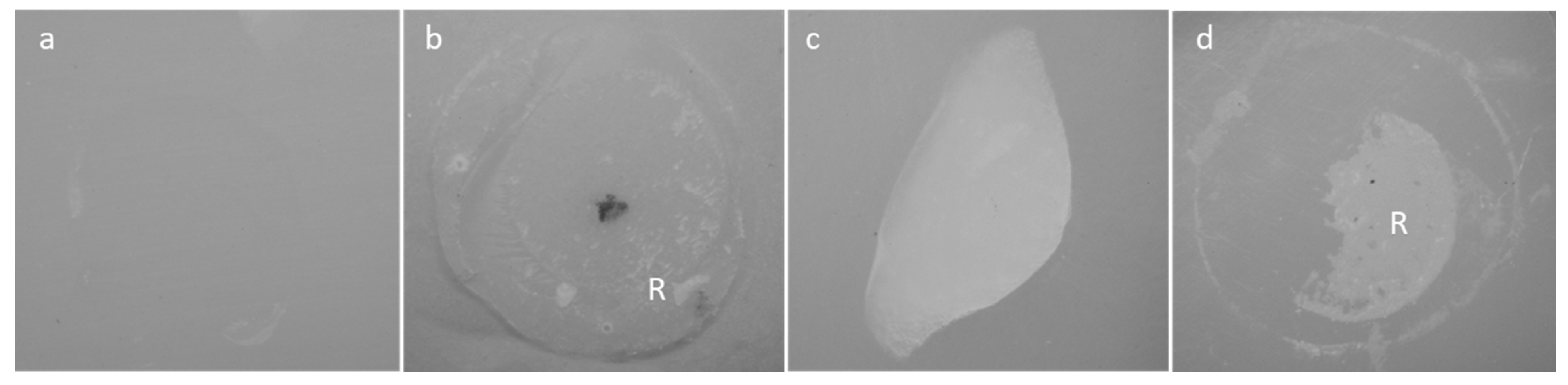 Materials 18 01983 g004 Materials 18 01983 g004