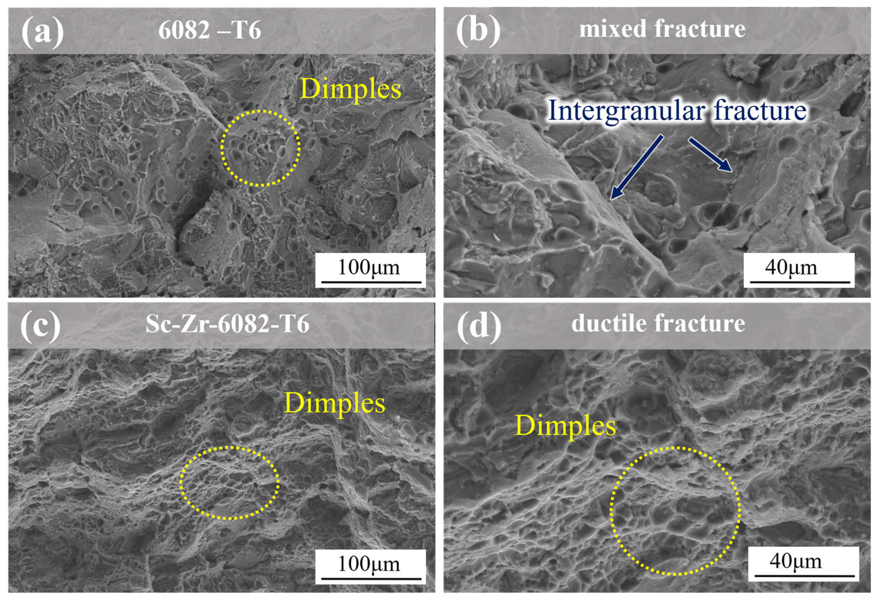 Materials 18 01988 g007