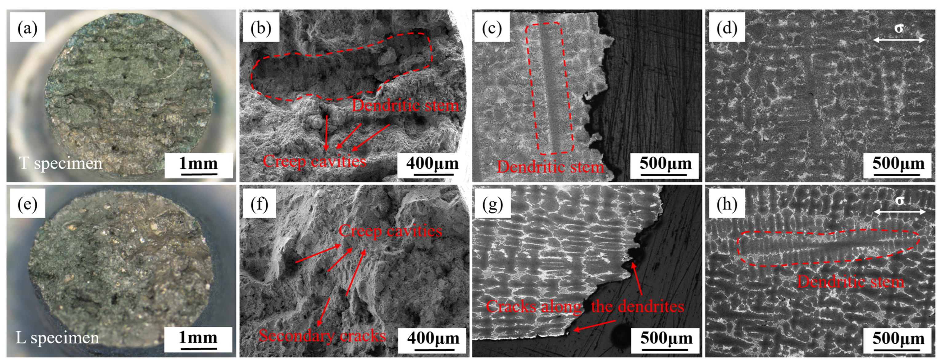 Materials 18 01998 g005