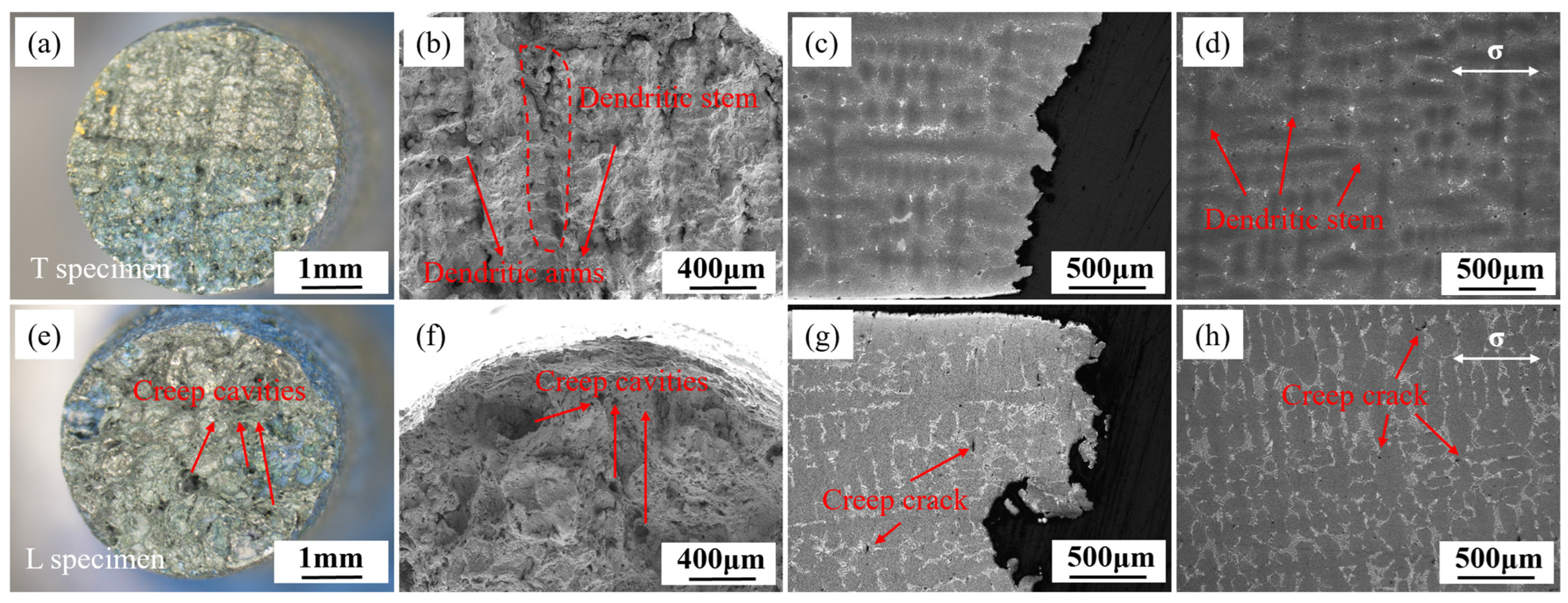 Materials 18 01998 g006