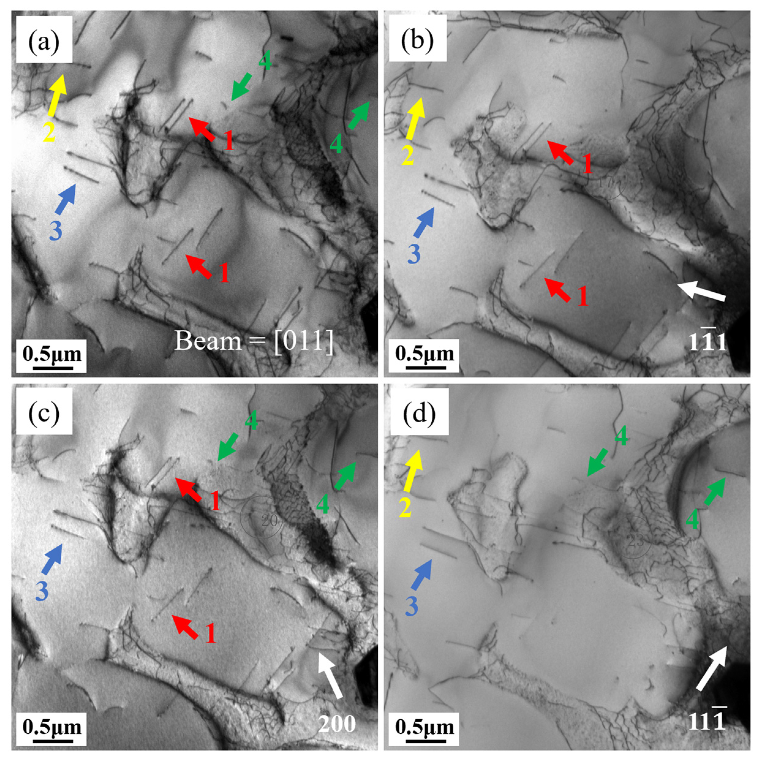 Materials 18 01998 g008