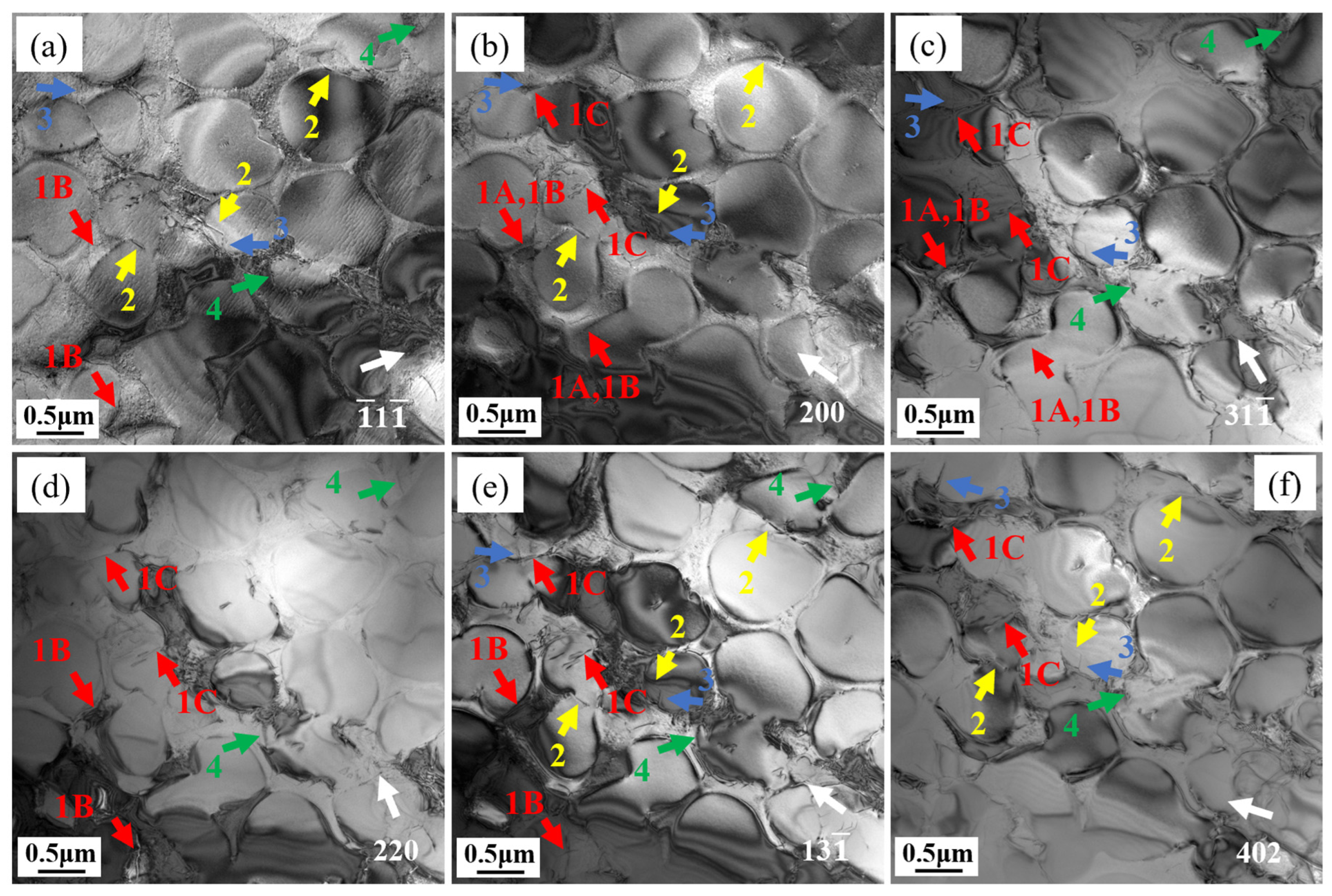 Materials 18 01998 g009