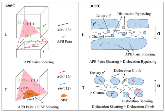 Anisotropy in Creep Behavior of a Directionally Solidified